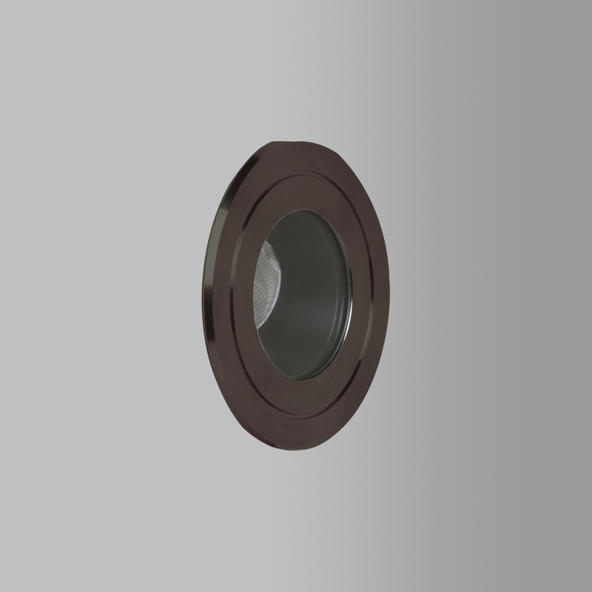 Riena External Bronze 2700K