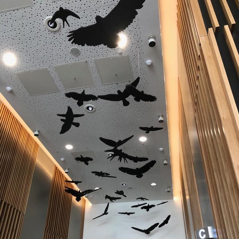 Mostra il prodotto Freestyle - Suspended Bespoke Freestyle Ceiling Rafts del produttore Soundtect