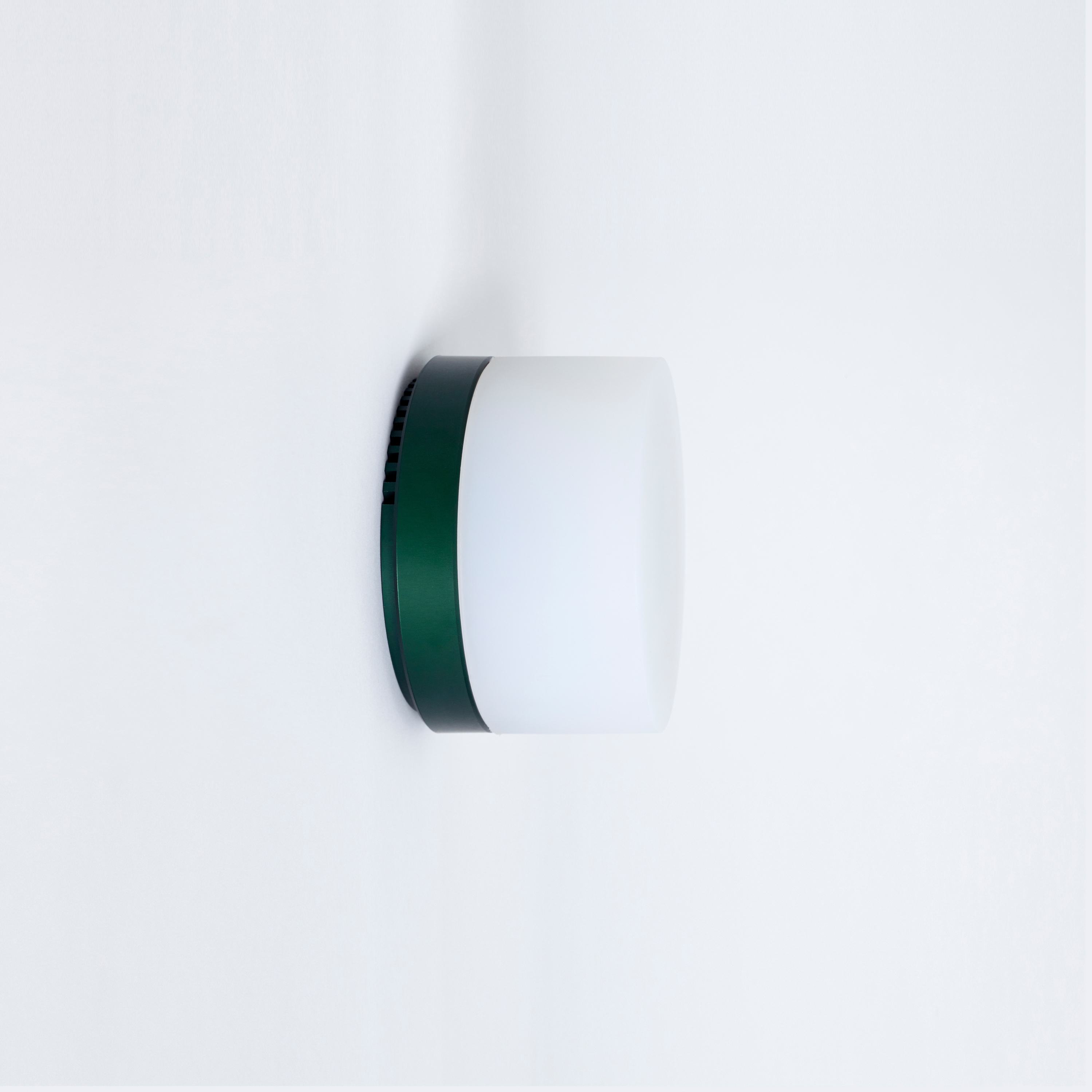 Produkt Poly Green des Herstellers Hand & Eye Studio anzeigen