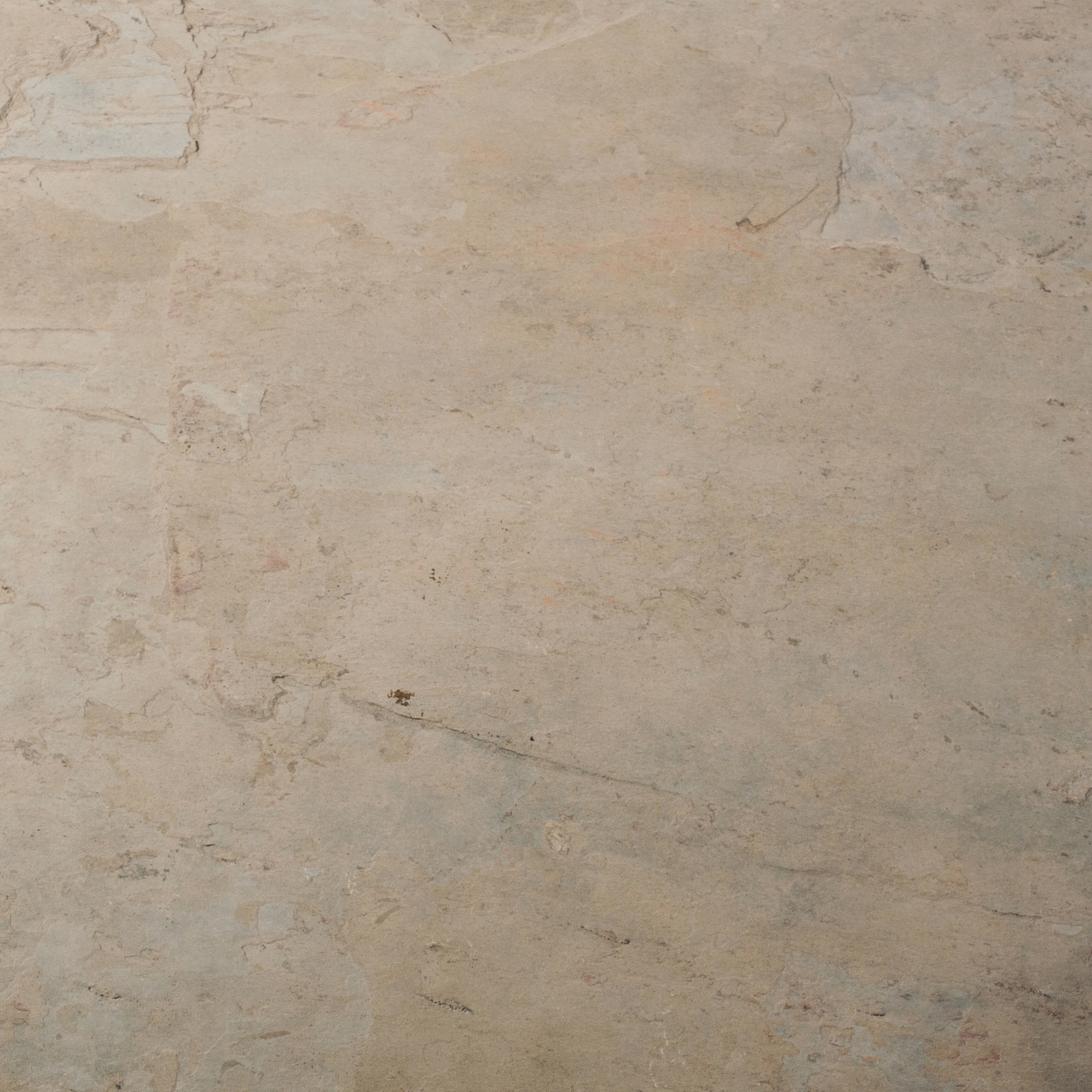 Afficher le produit Wood Root du fabricant Skinrock