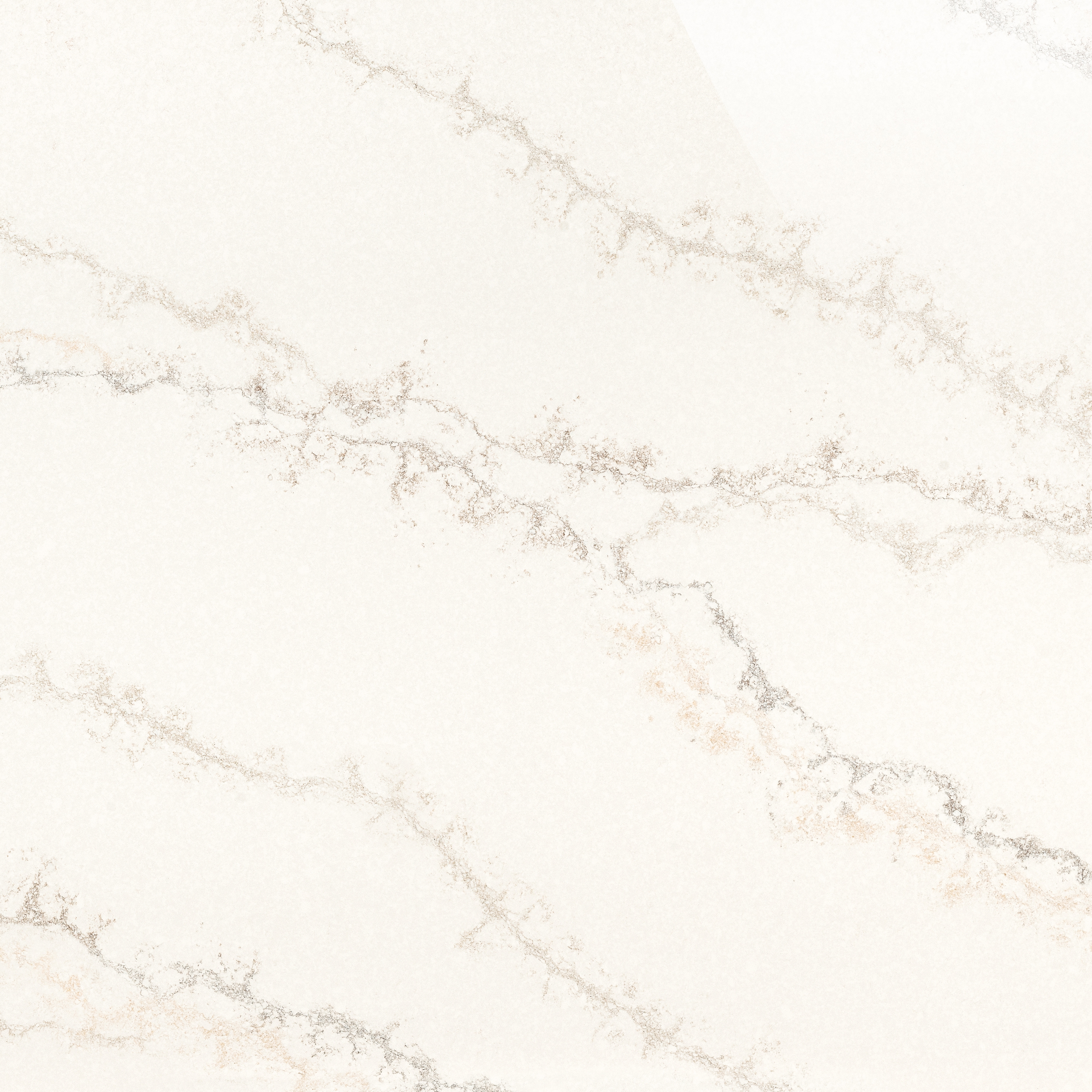 Lux | Bianco Angelica