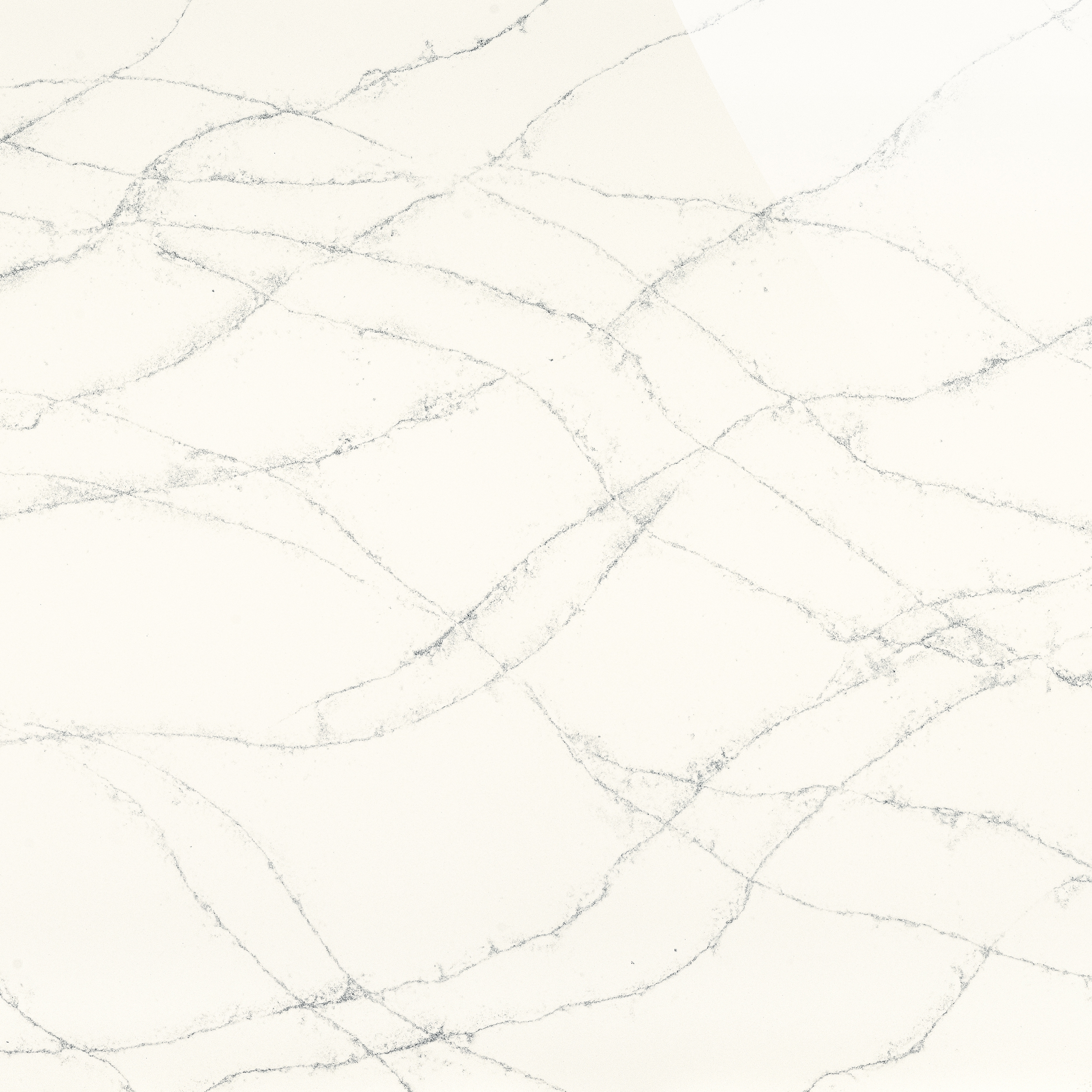 Lux | Bianco Giulia