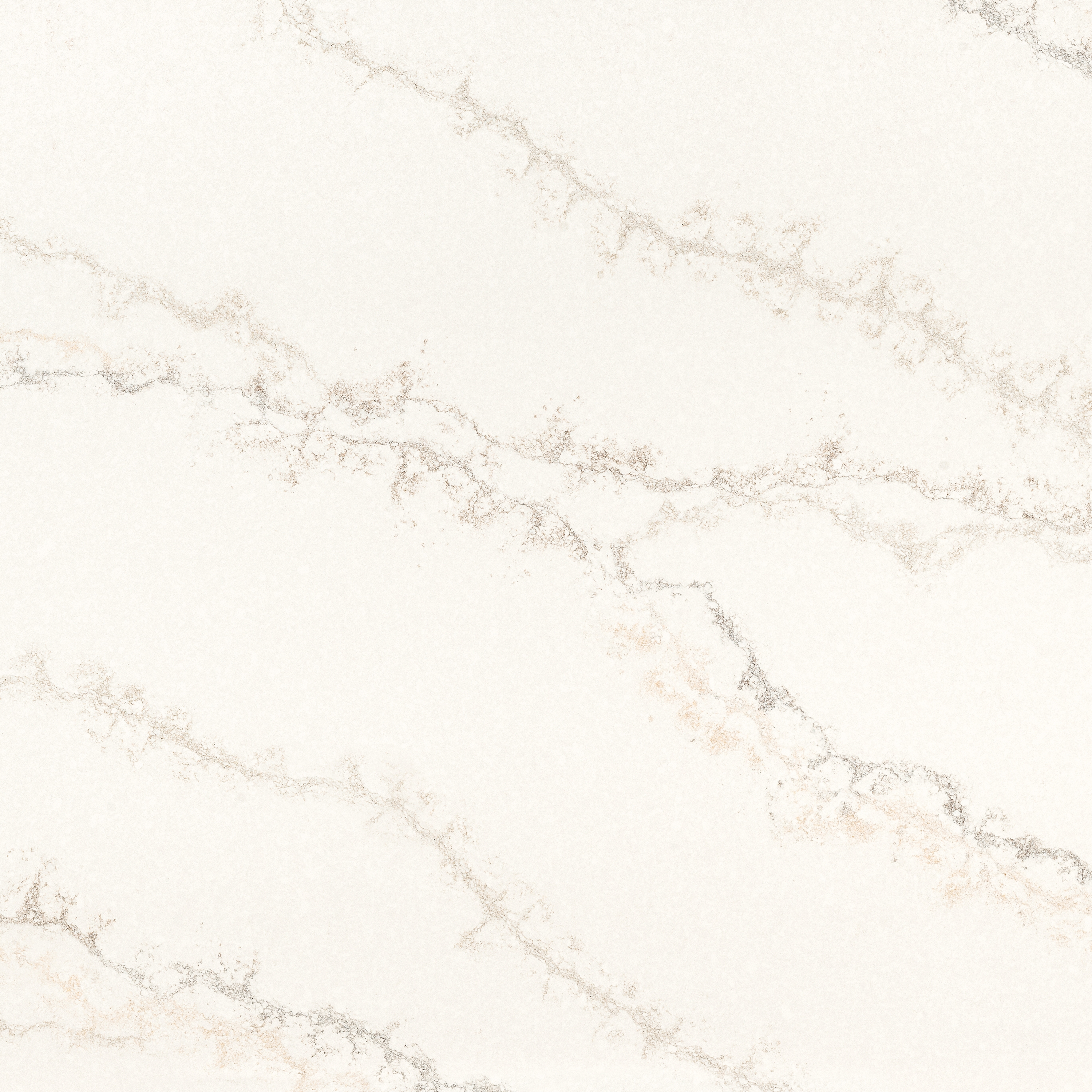 Satin | Bianco Angelica