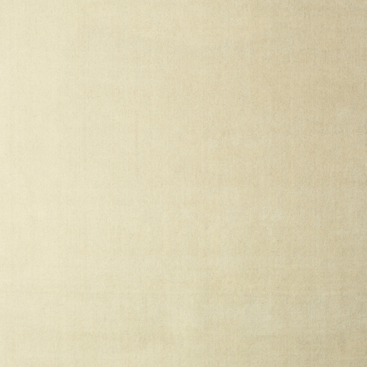 Mostra il prodotto Earth cream del produttore massimo copenhagen