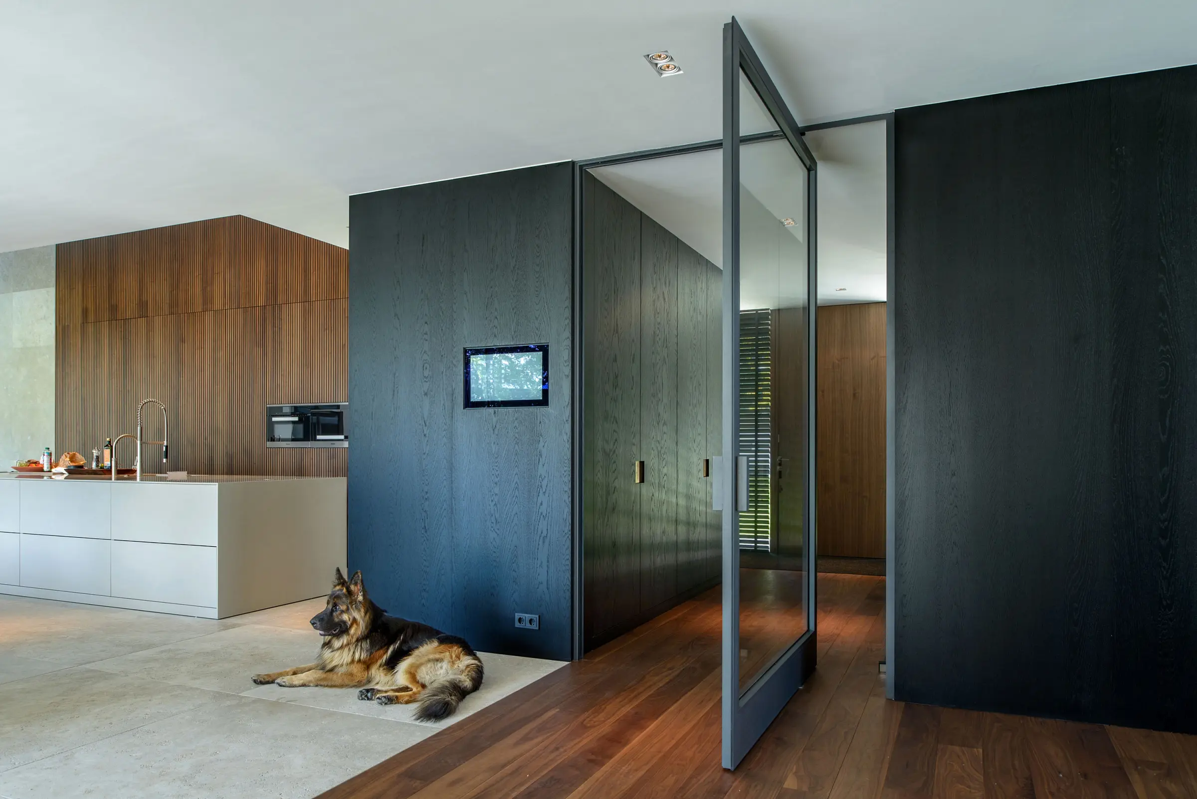 FritsJurgens - System 3 | Steel Pivoting Door