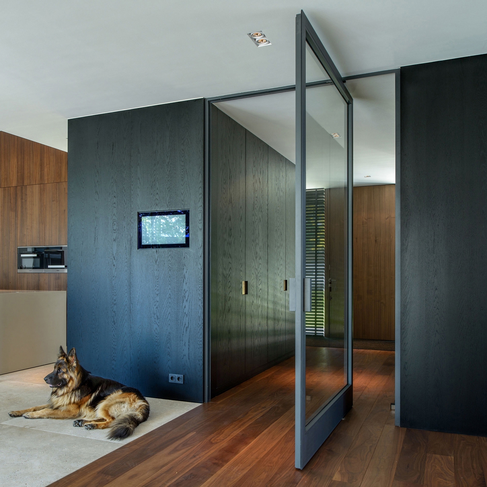 Produkt System 3 | Steel Pivoting Door des Herstellers FritsJurgens anzeigen