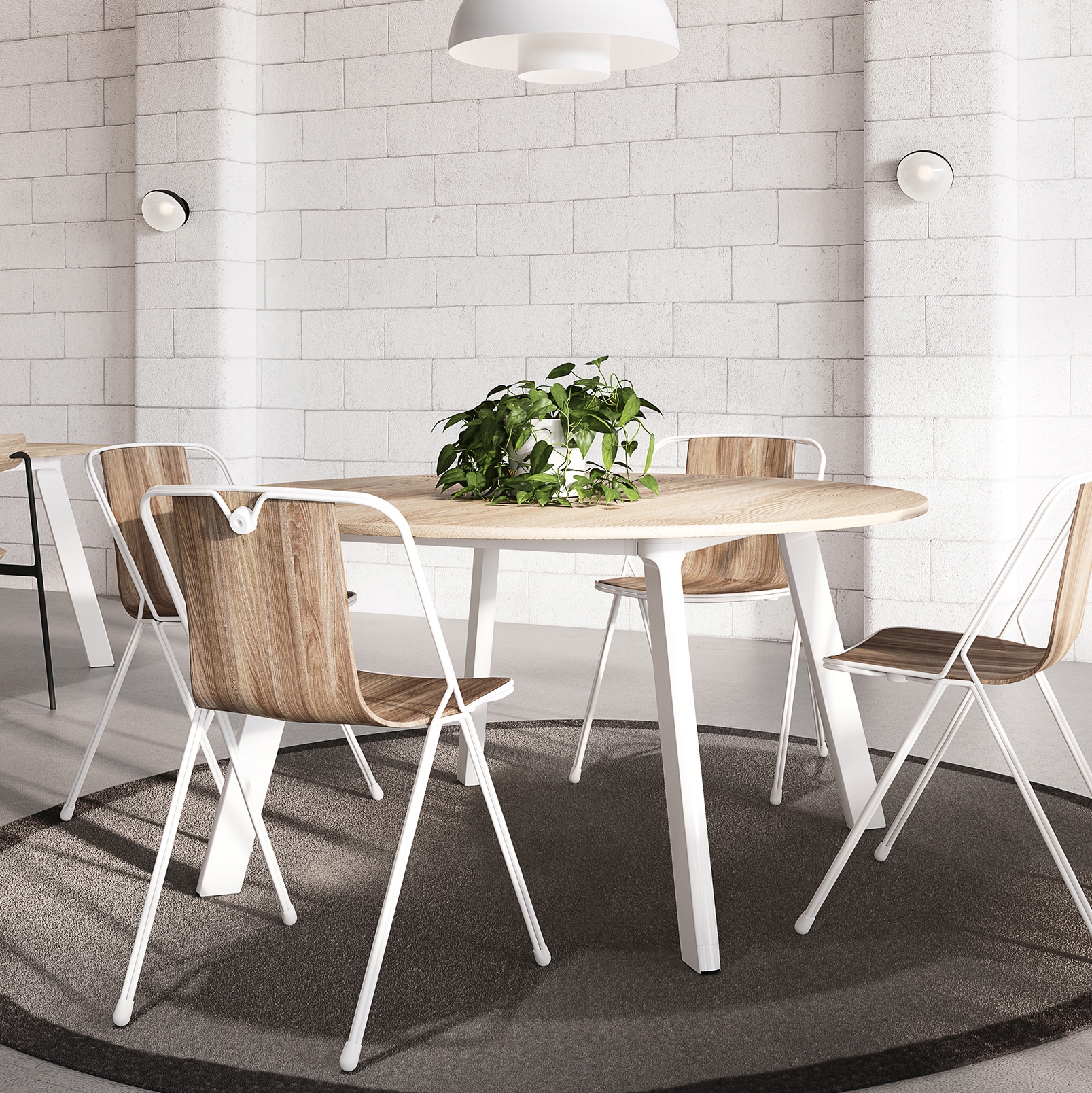 Mostrar el producto Chameleon del fabricante nau design