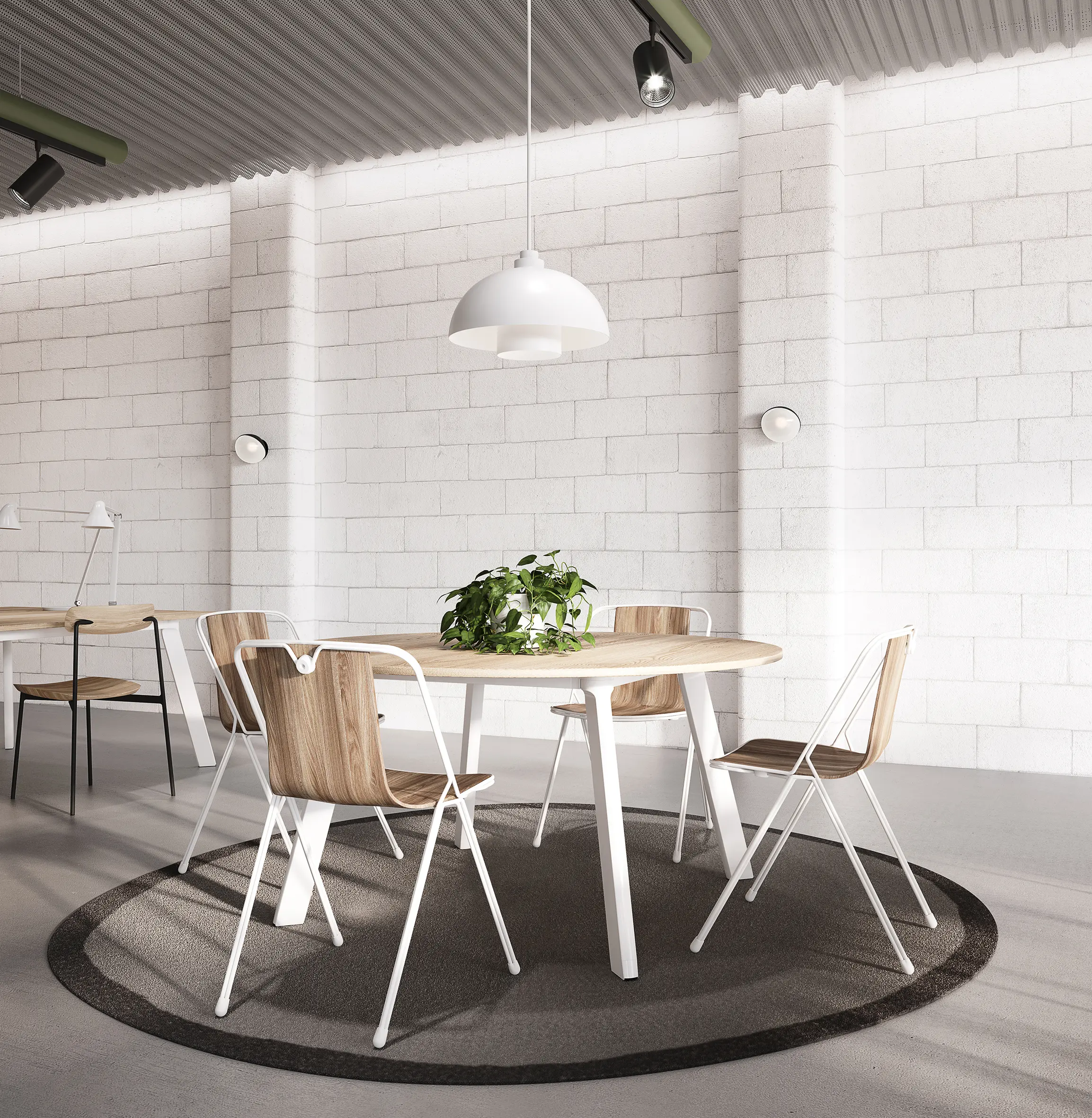 nau design - Chameleon