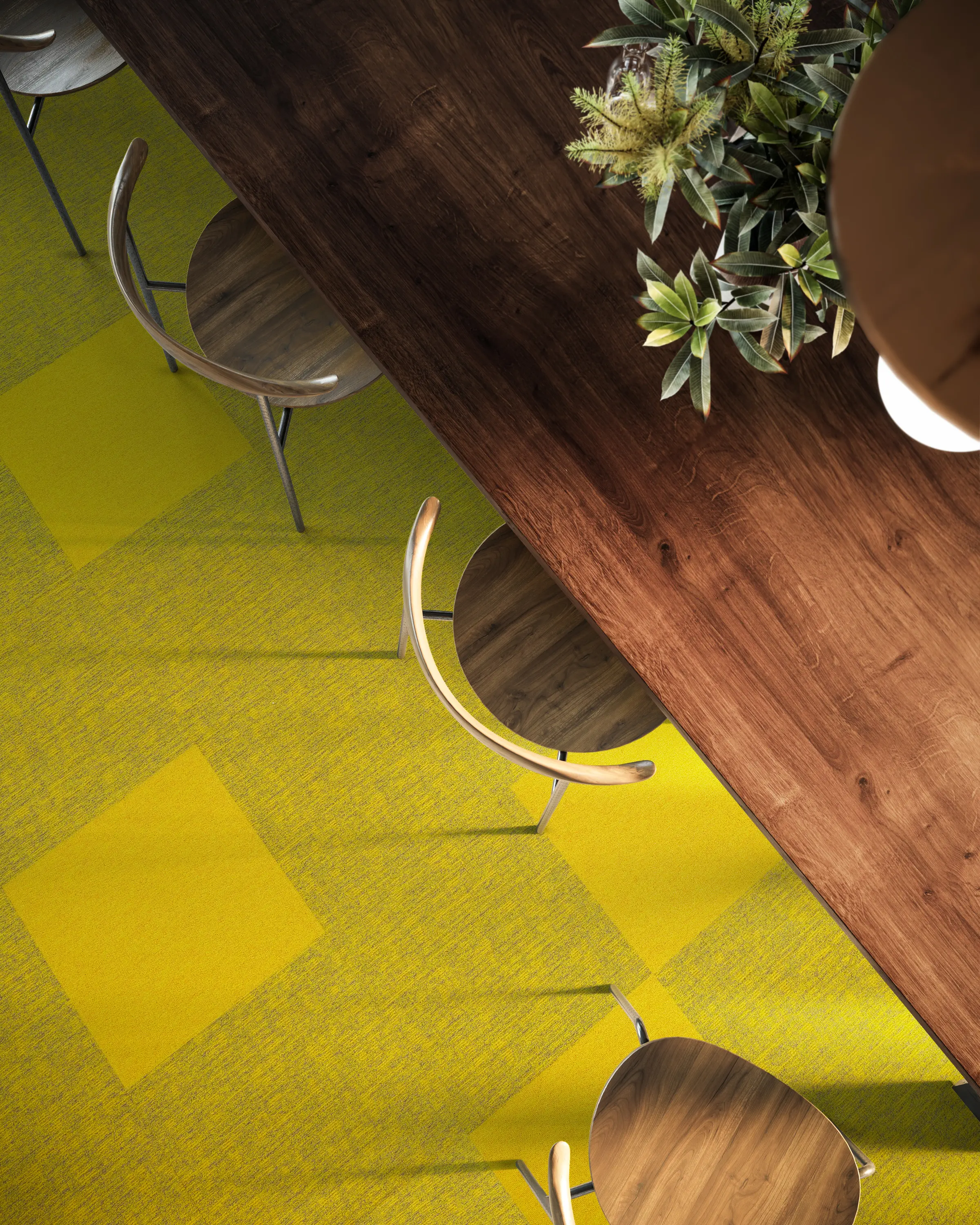 modulyss - DSGN Absolute 912