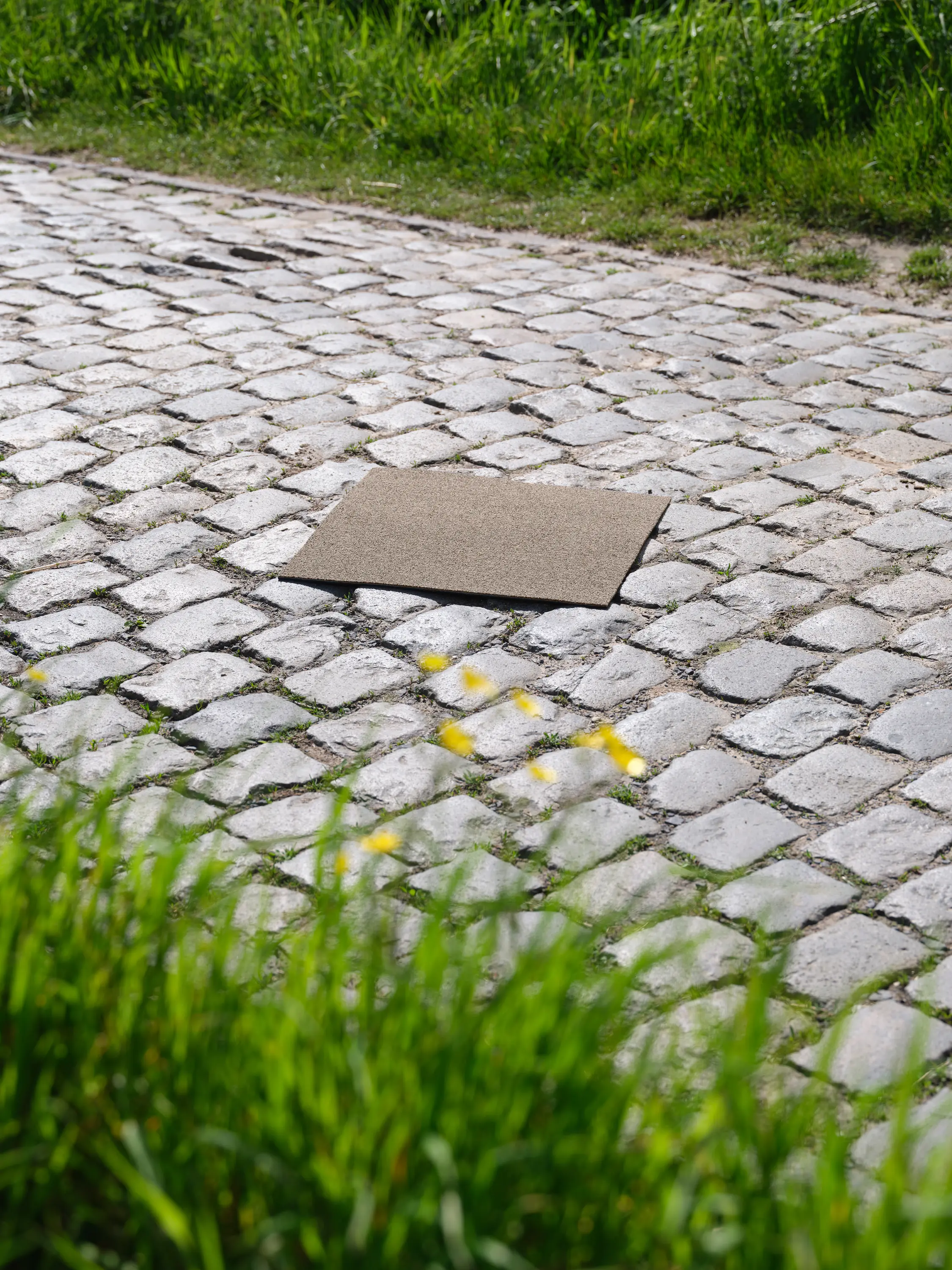 modulyss - Cobbles 214