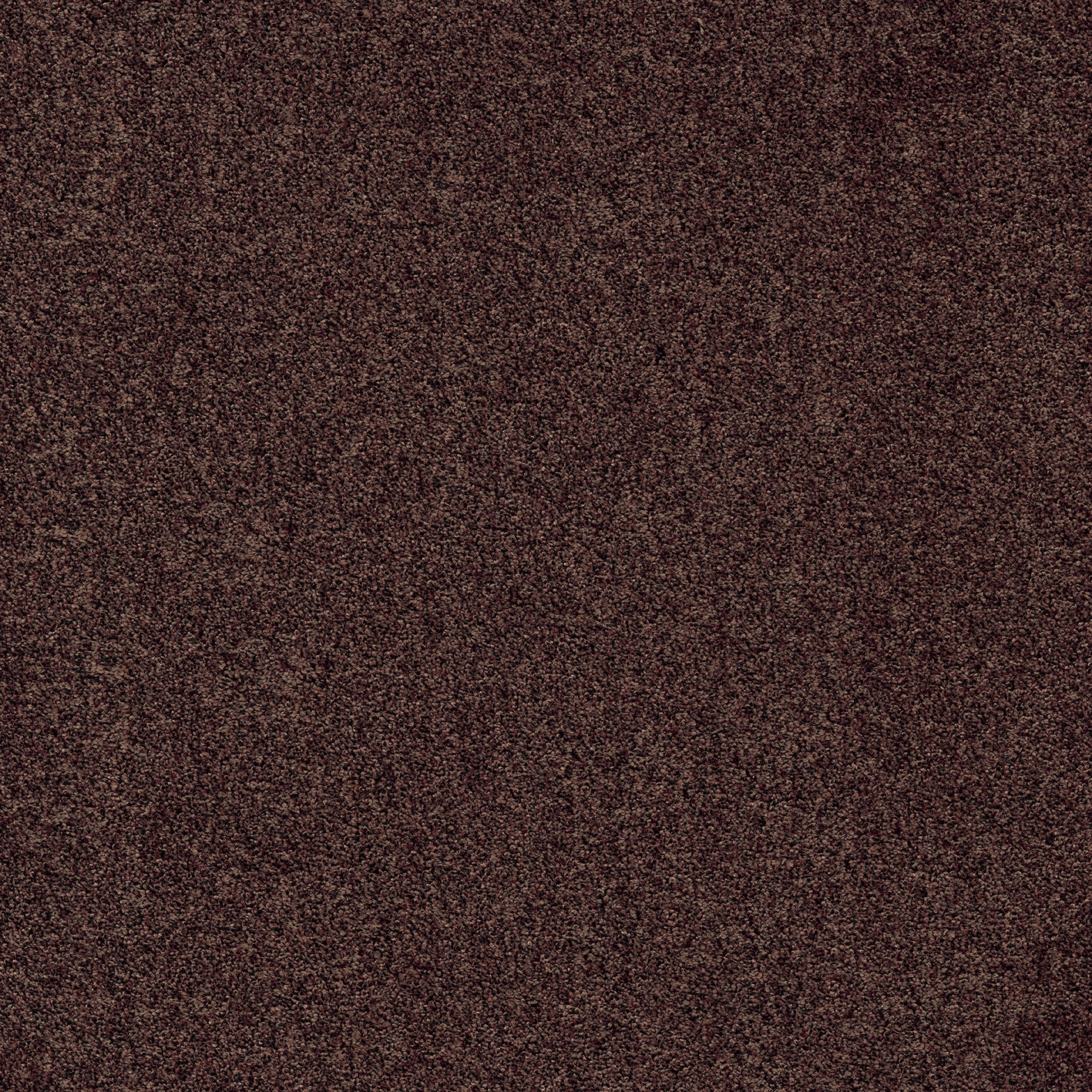 Gleam 306