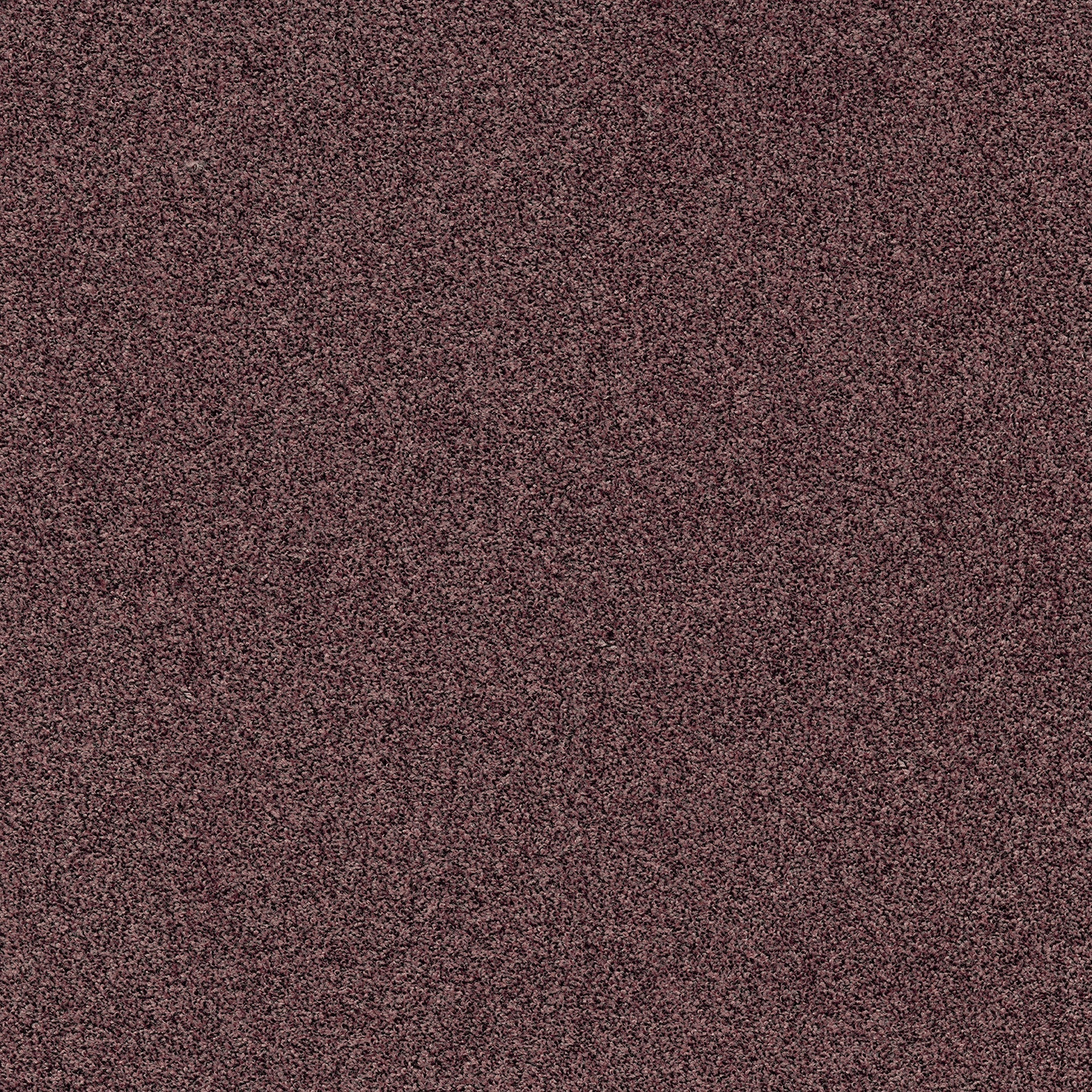 Gleam 314