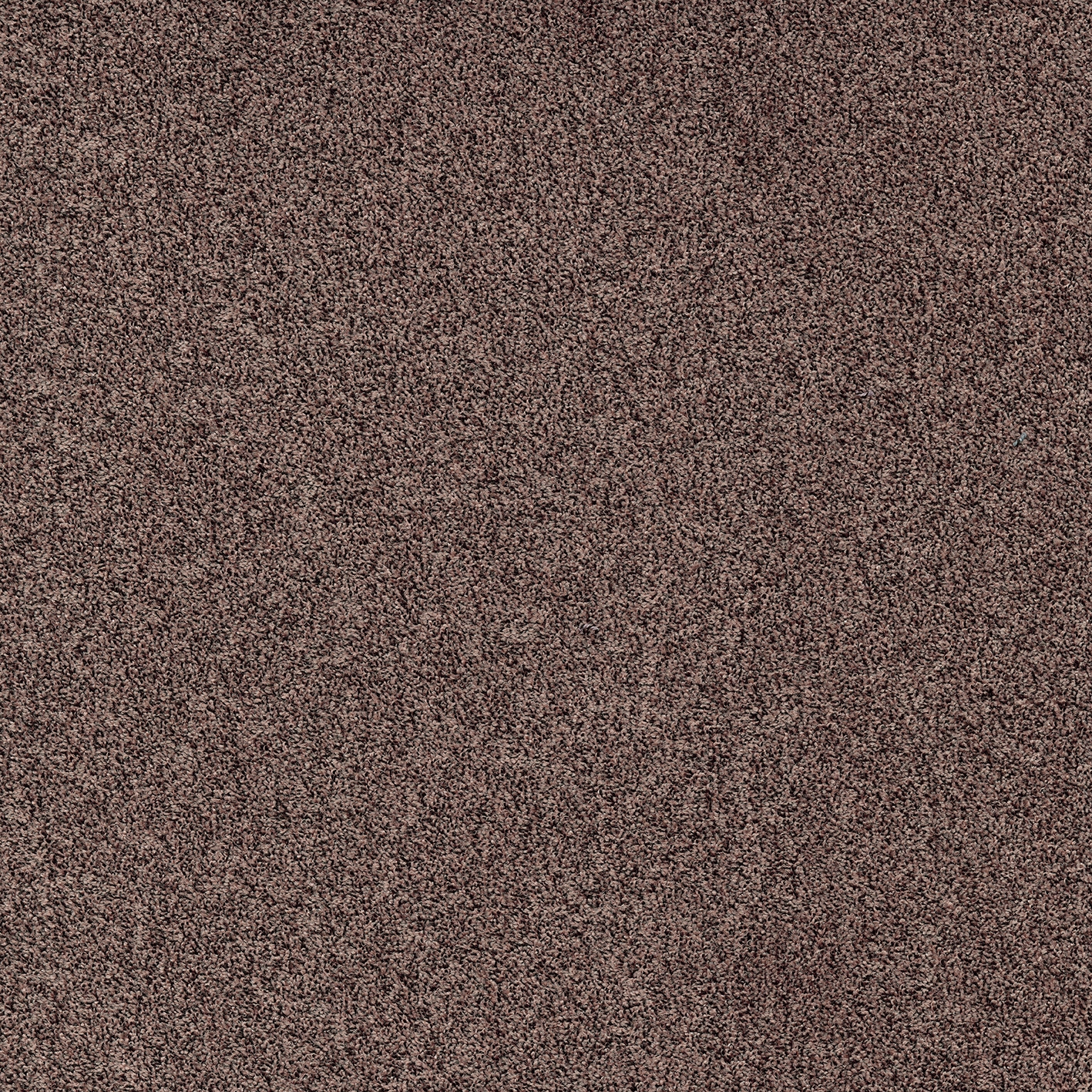 Gleam 398