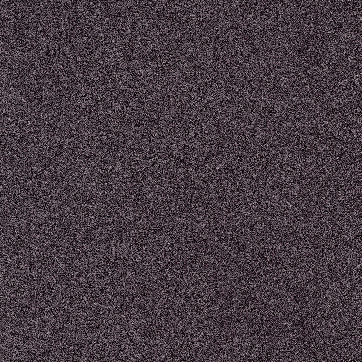 Gleam 462
