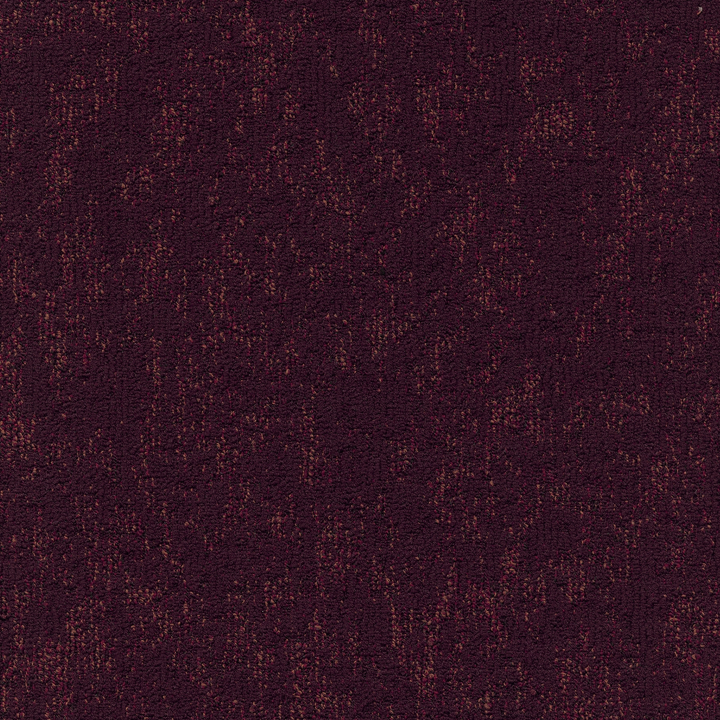 Moss 352