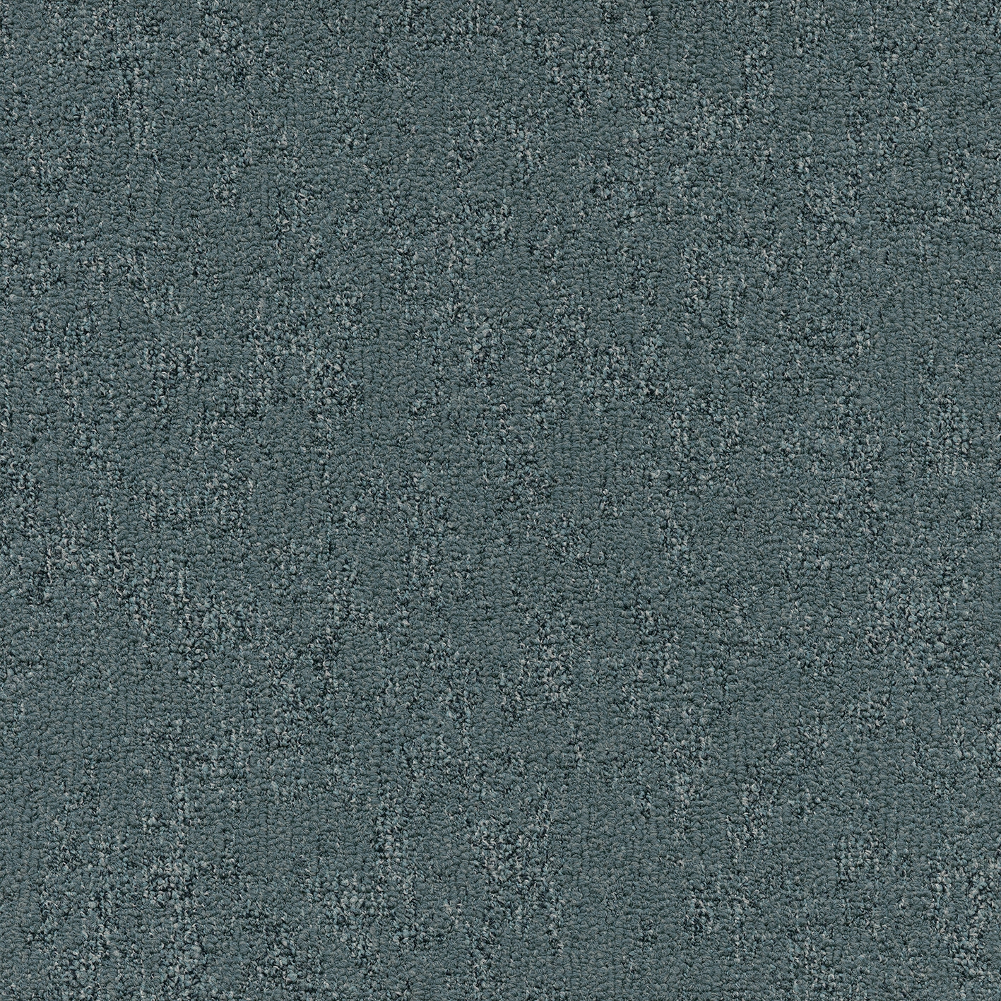 Moss 586