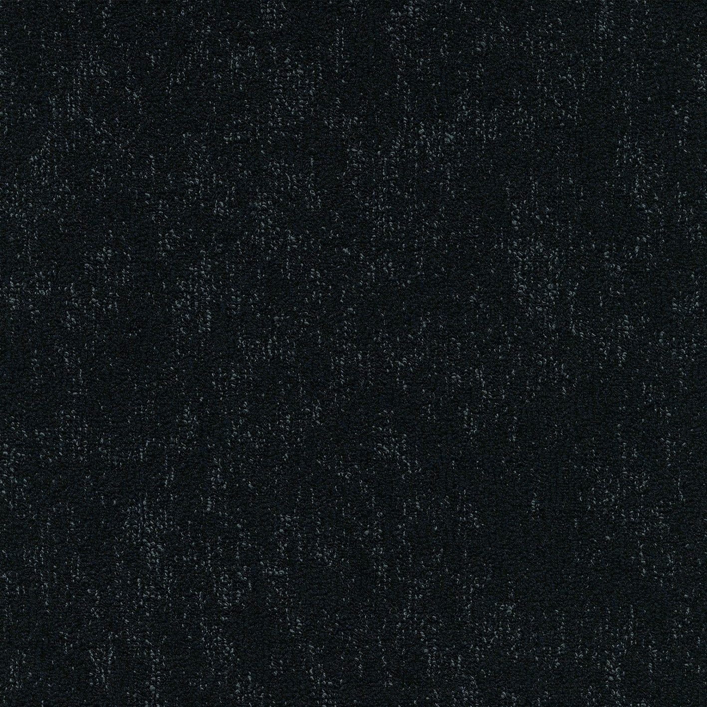 Moss 592