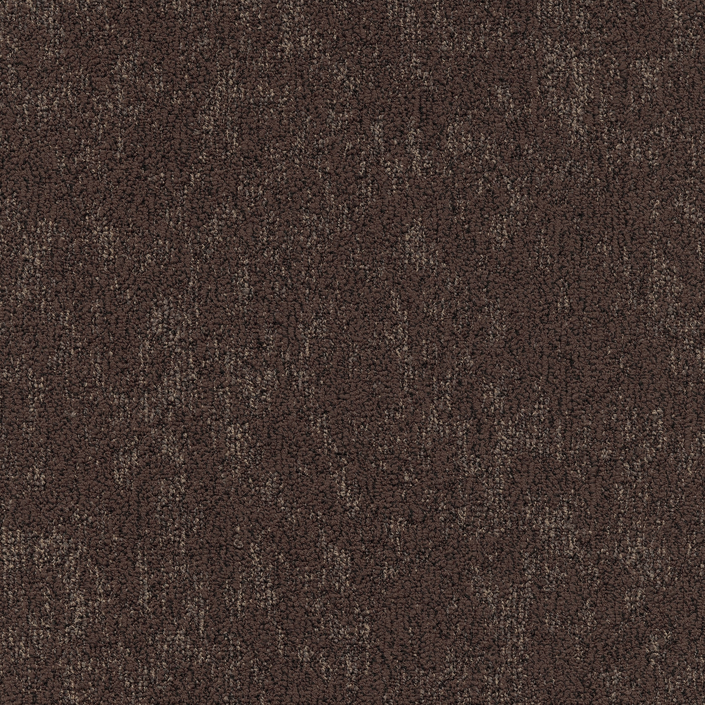 Moss 810