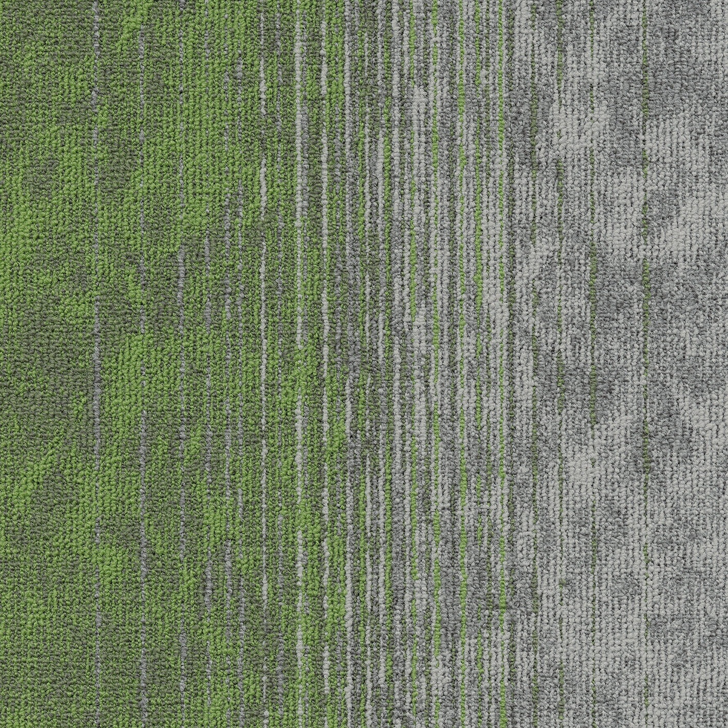 Motion 669