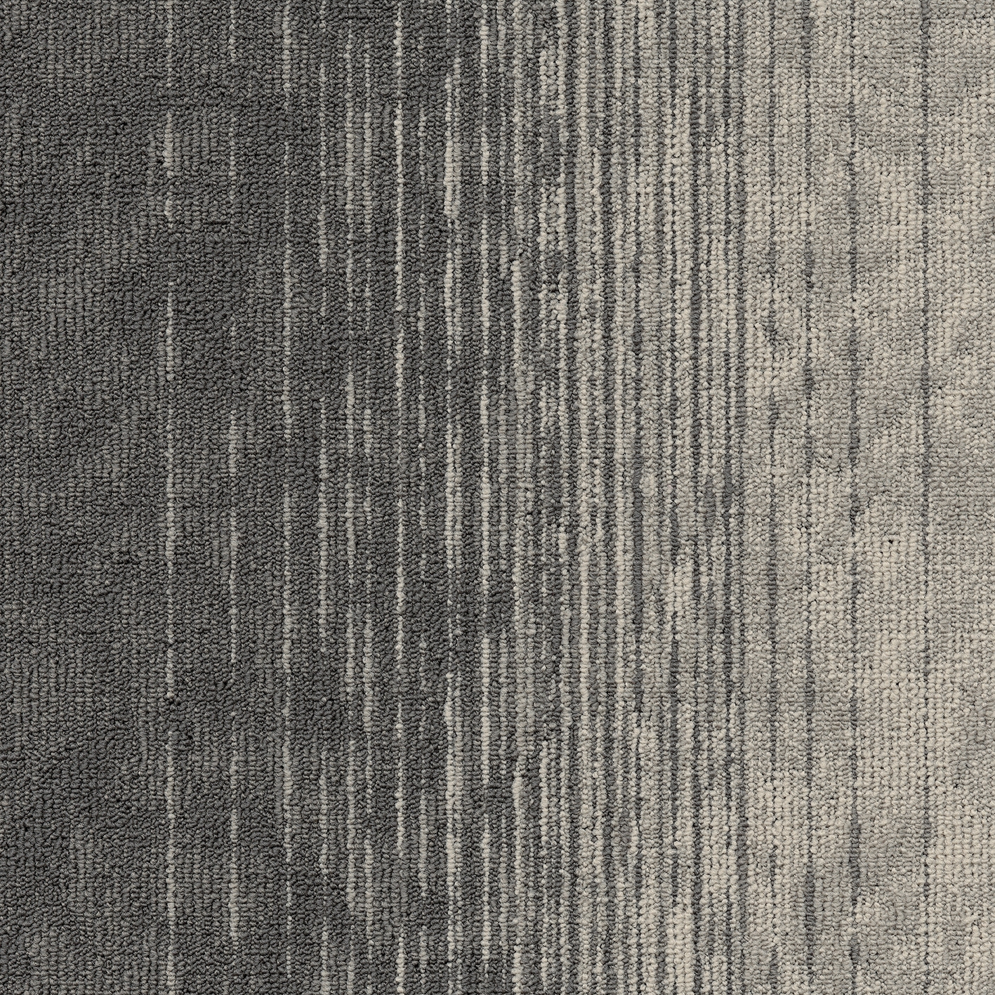 Motion 847