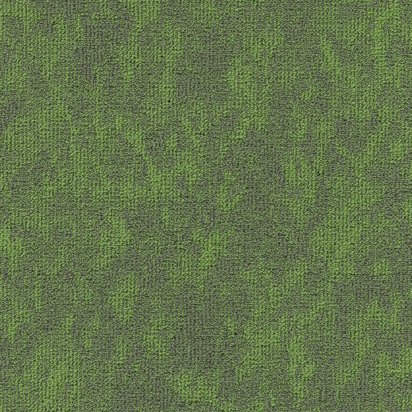 Vision 669