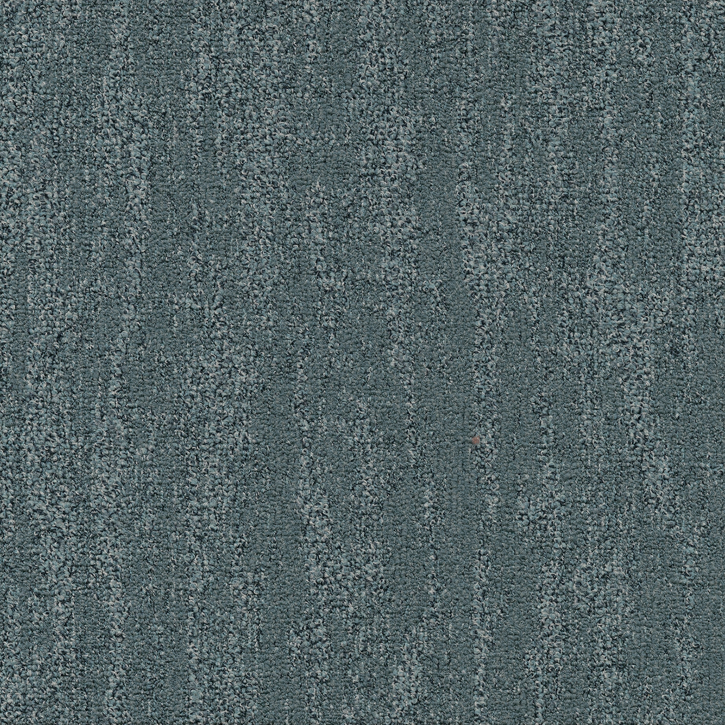 Willow 586