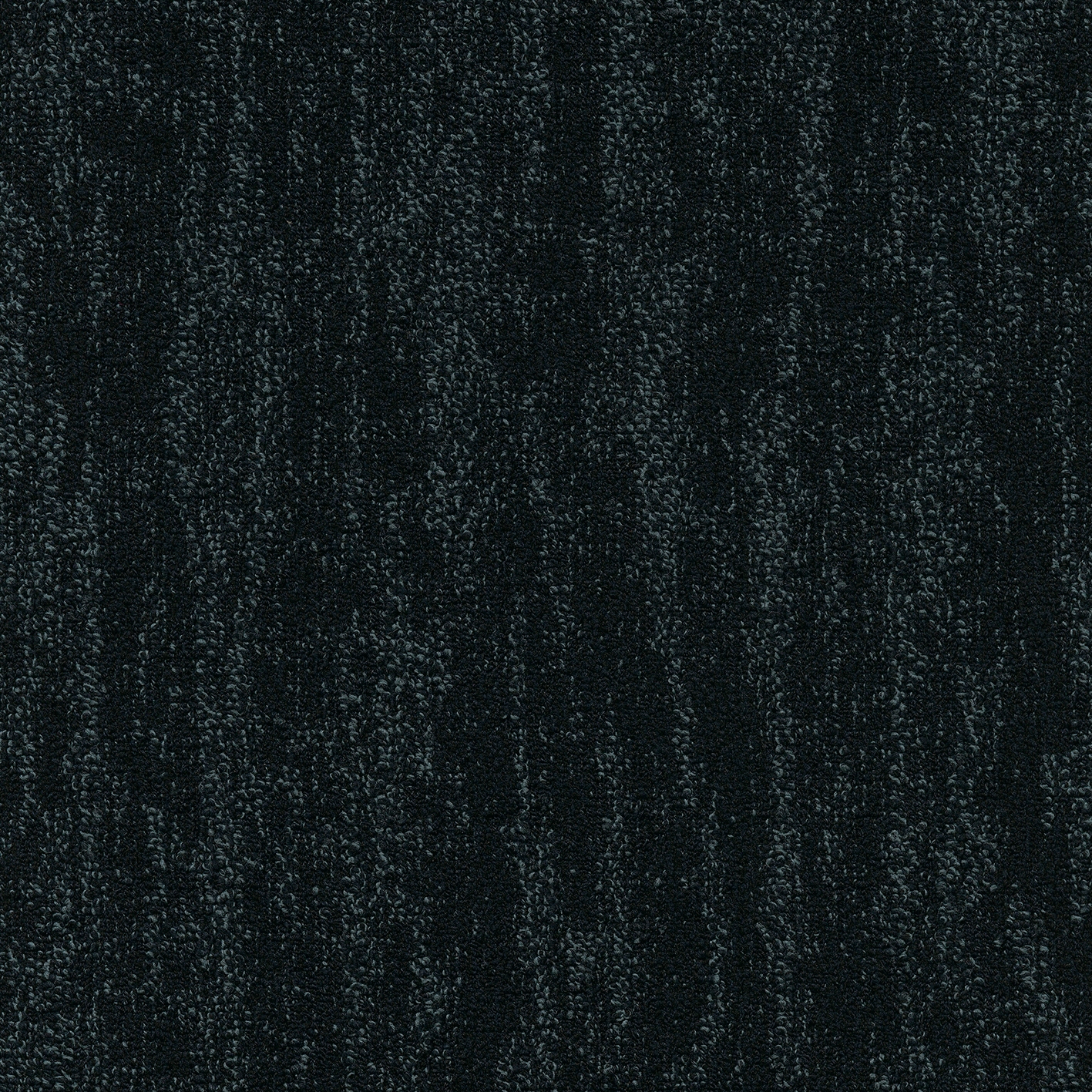 Willow 592