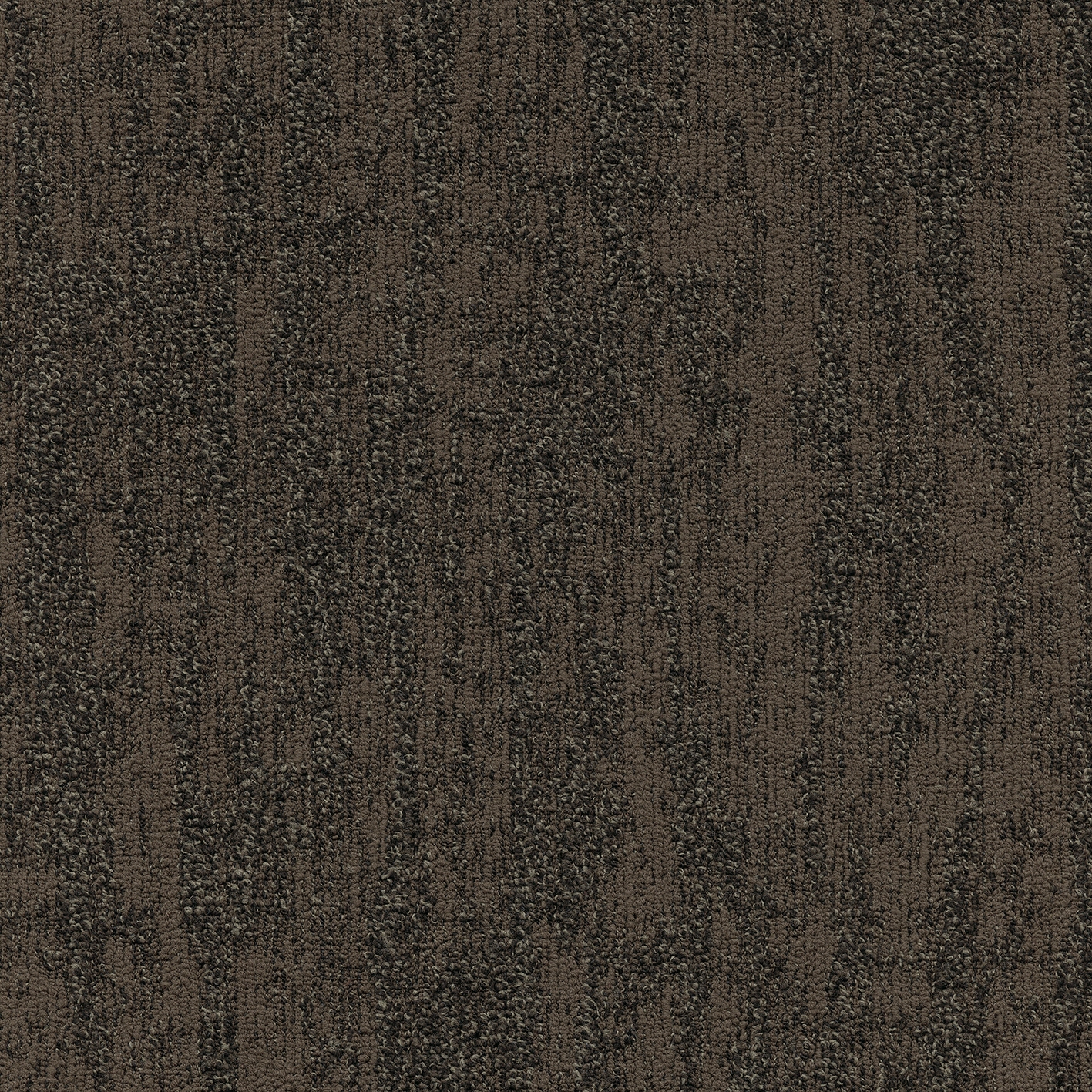 Willow 668
