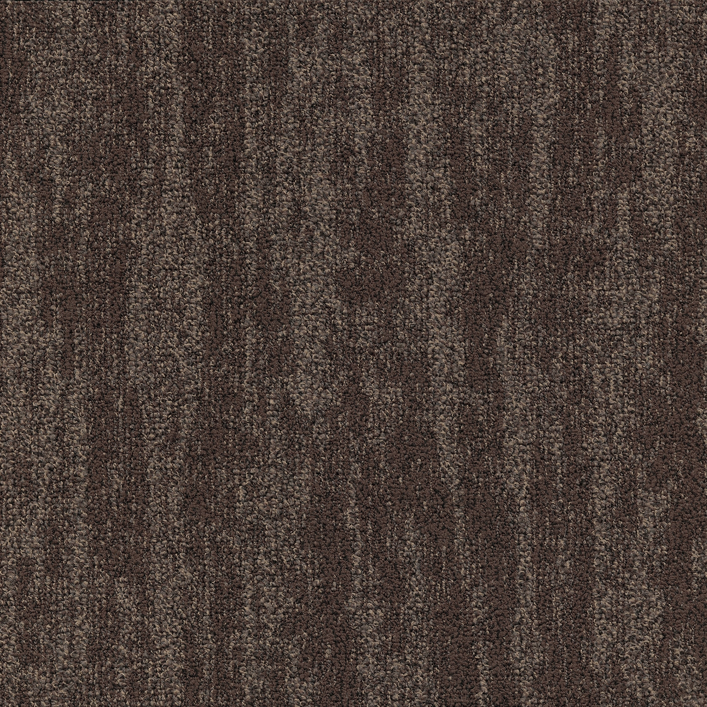 Willow 810