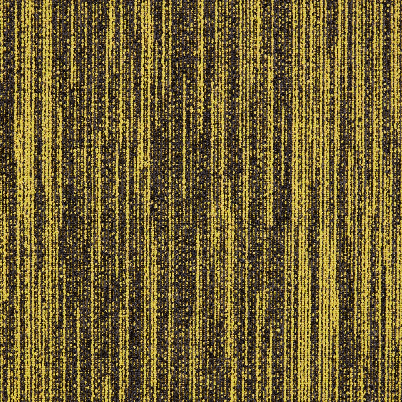 First Decode 210
