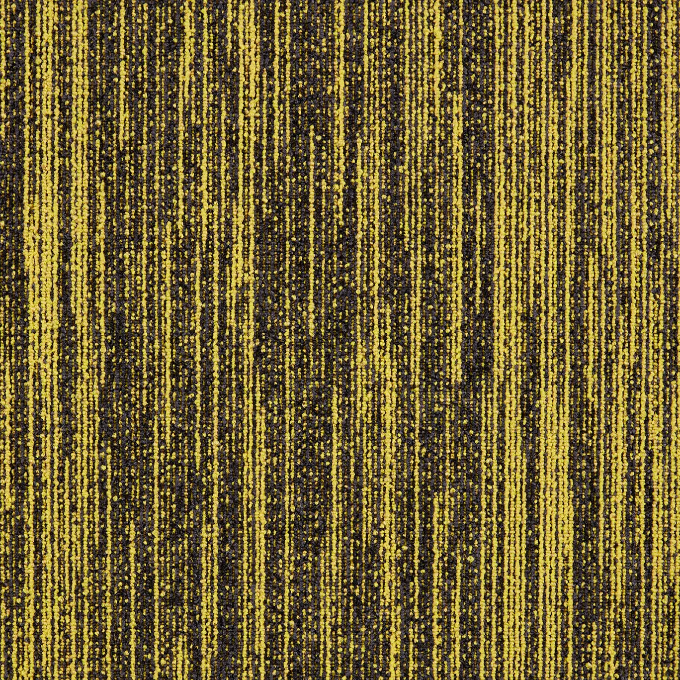 modulyss - First Decode 210