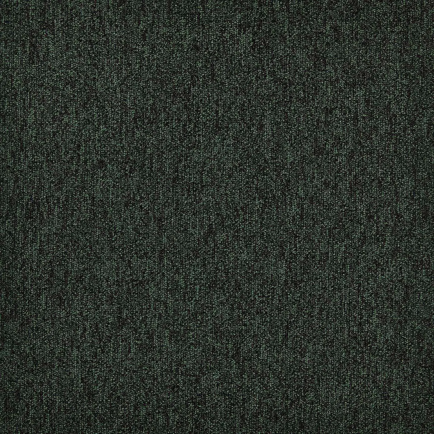 modulyss - First Forward 668