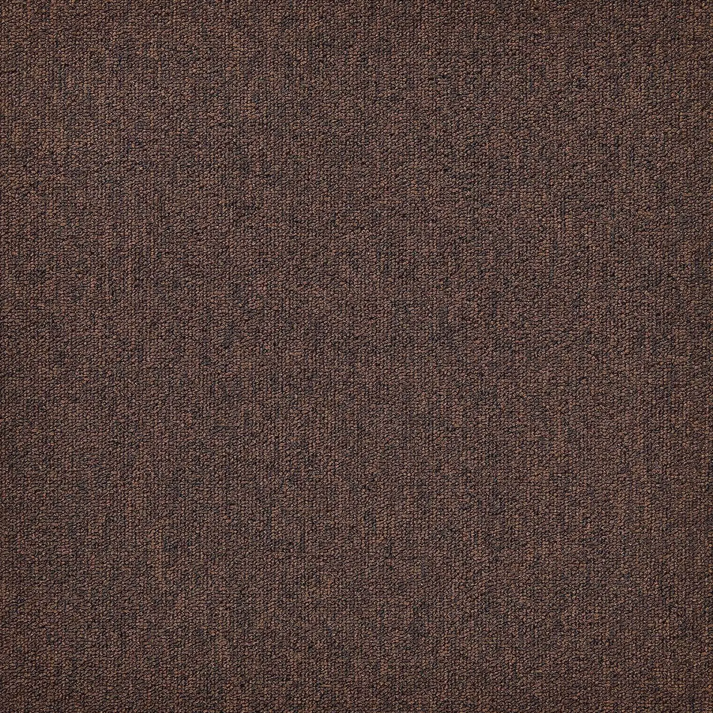 modulyss - First Forward 804