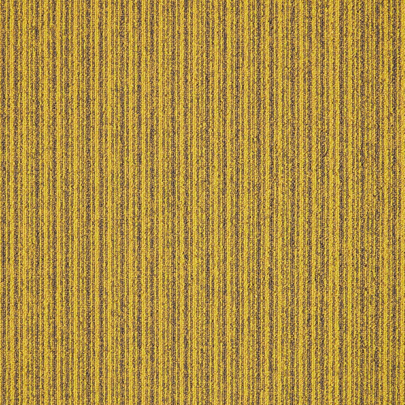 First Streamline 210