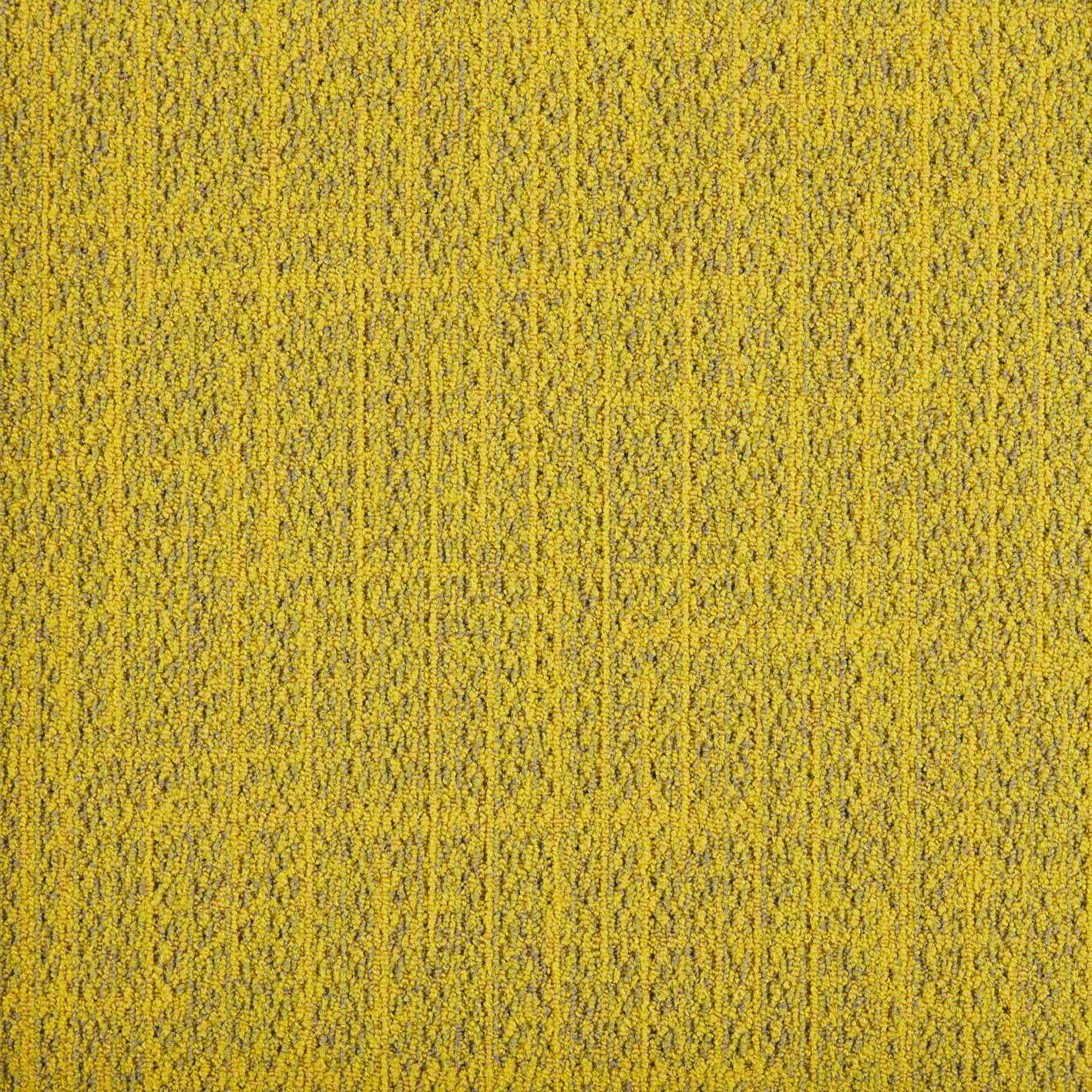 DSGN Tweed 204