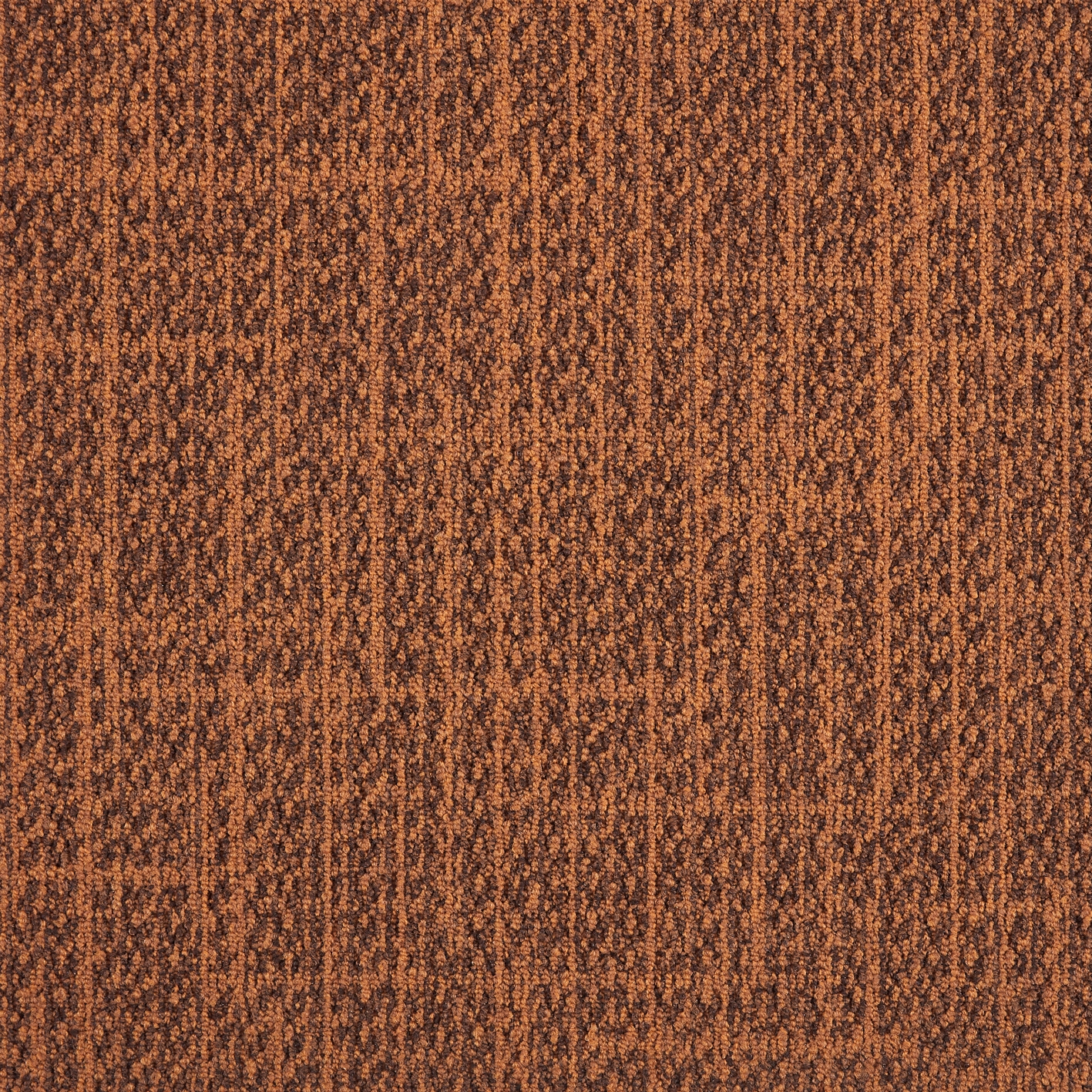 DSGN Tweed 313