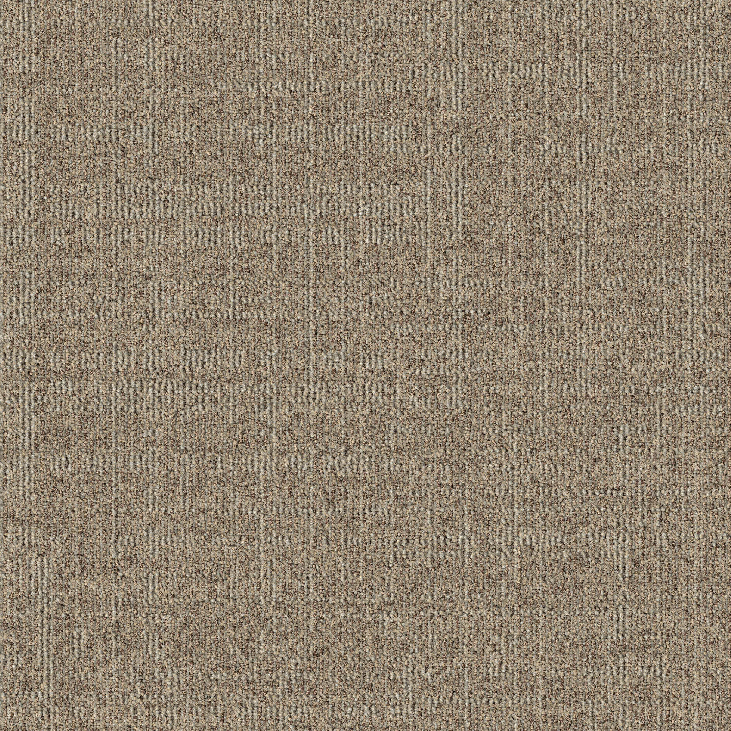 modulyss - Dune 102