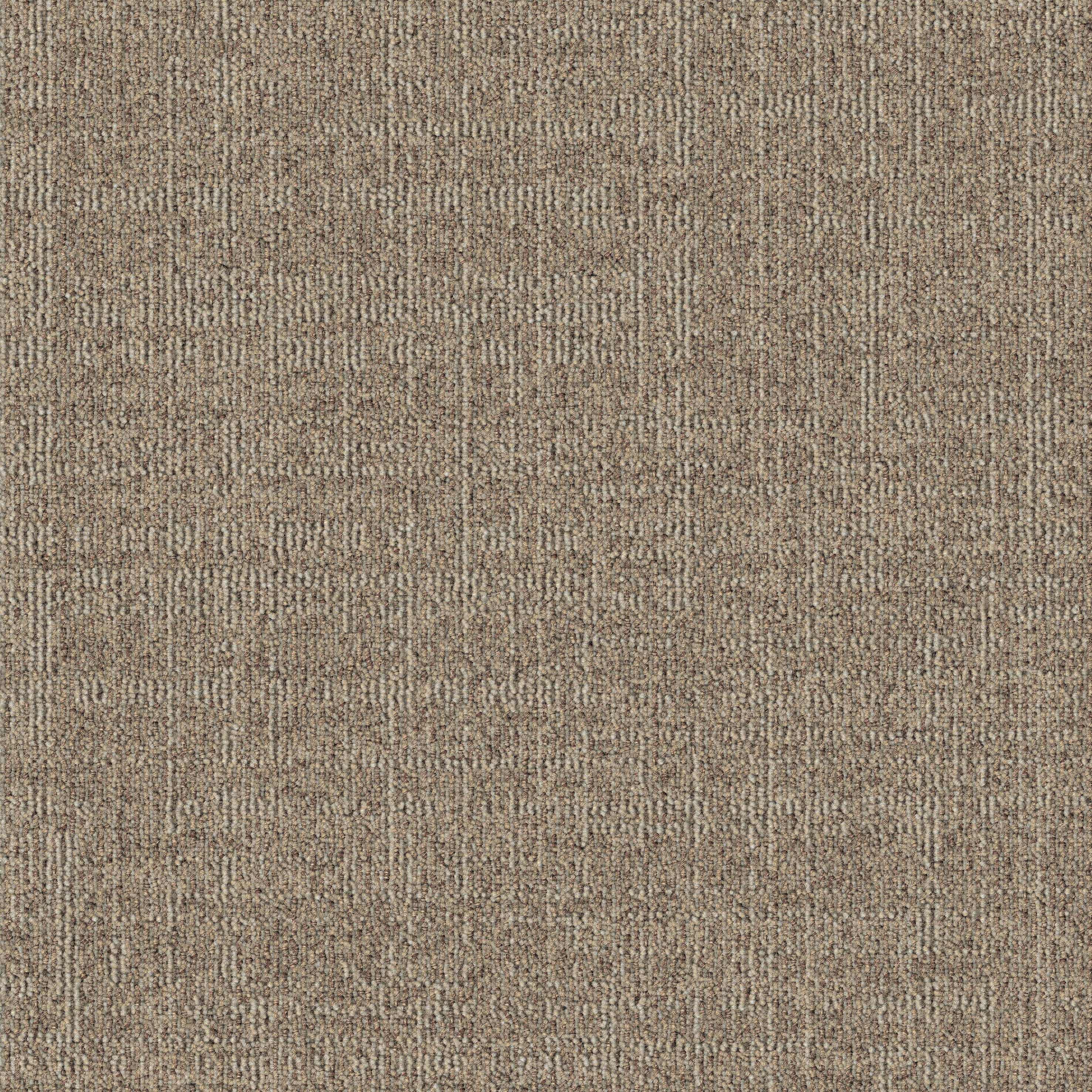 Dune 102
