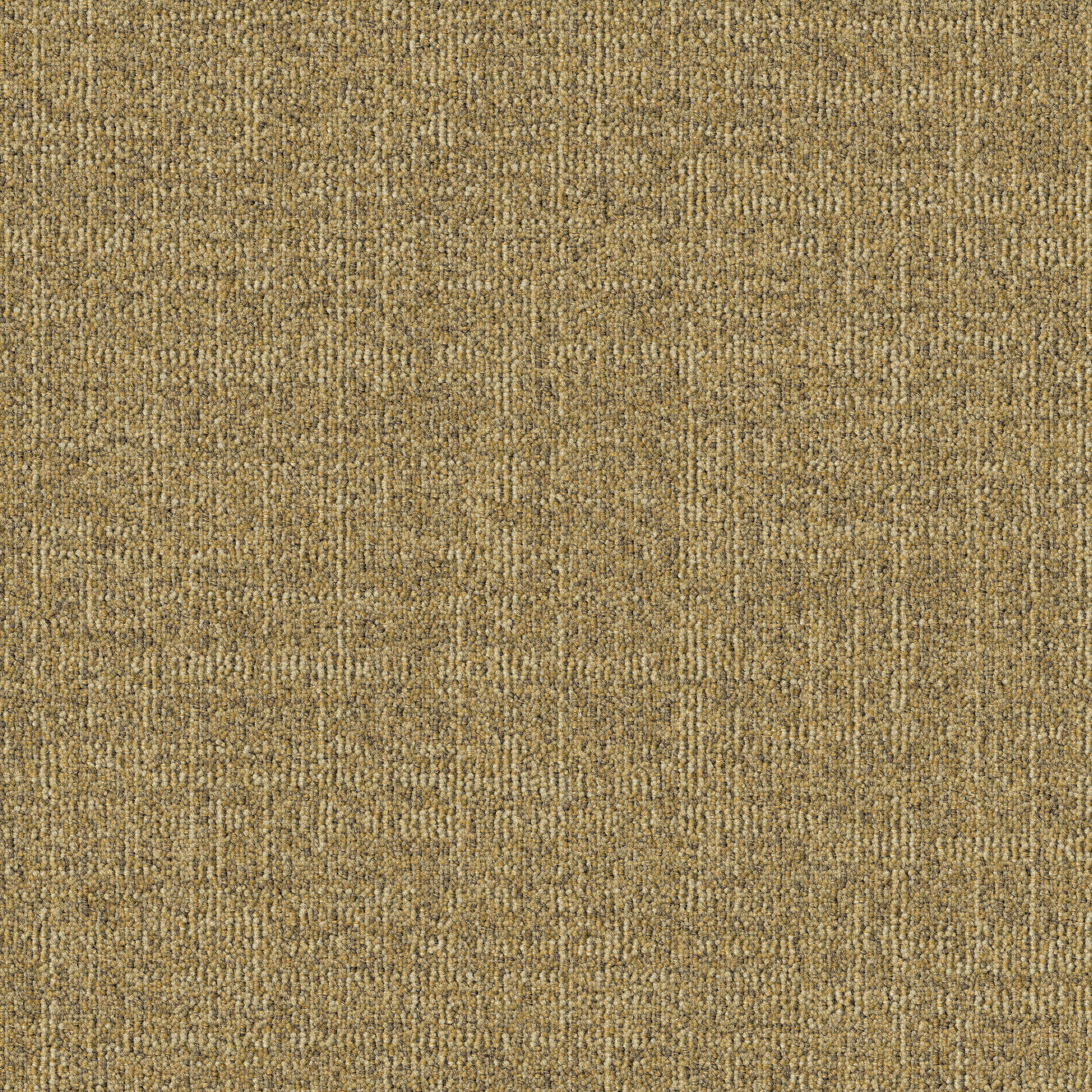 Dune 216