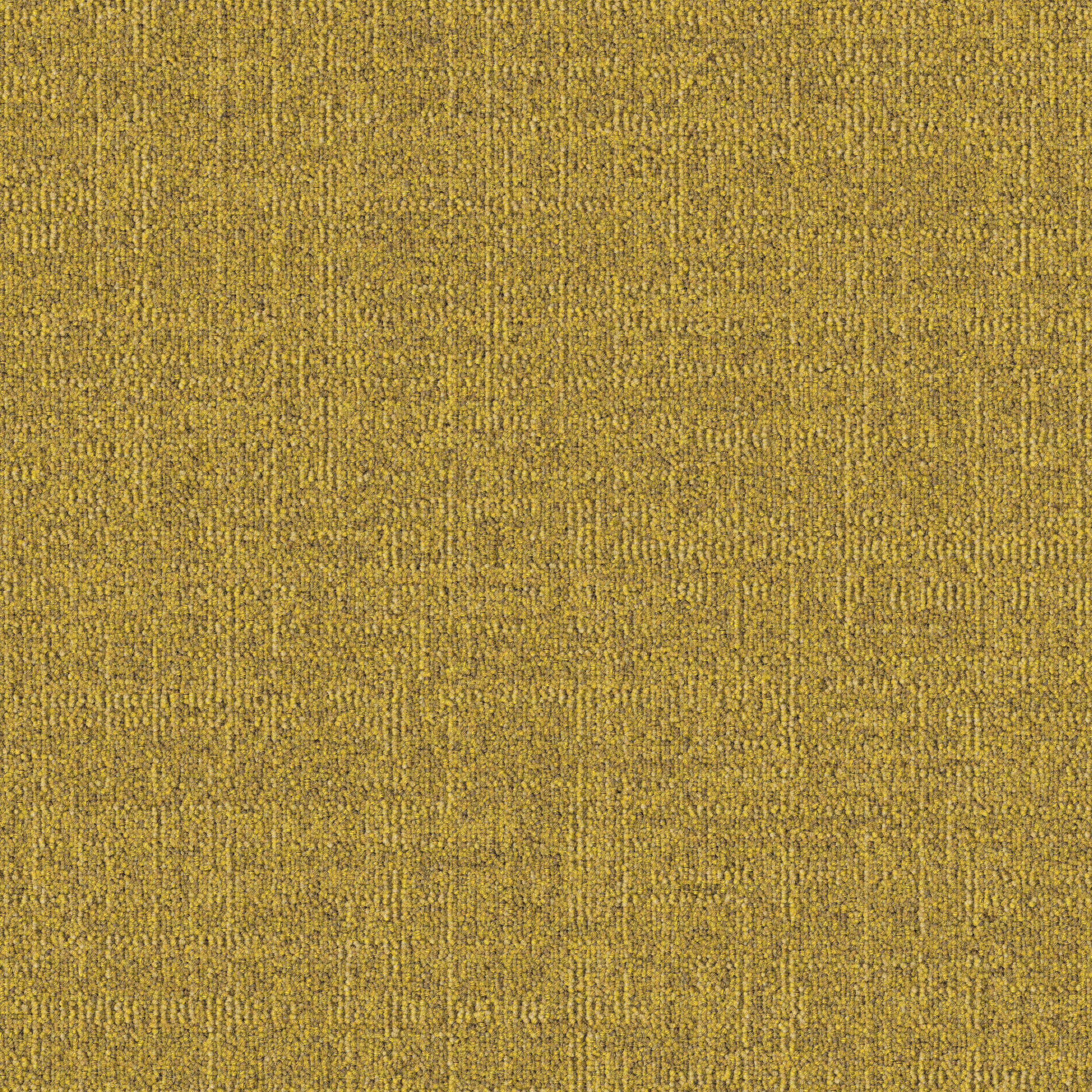 Dune 224