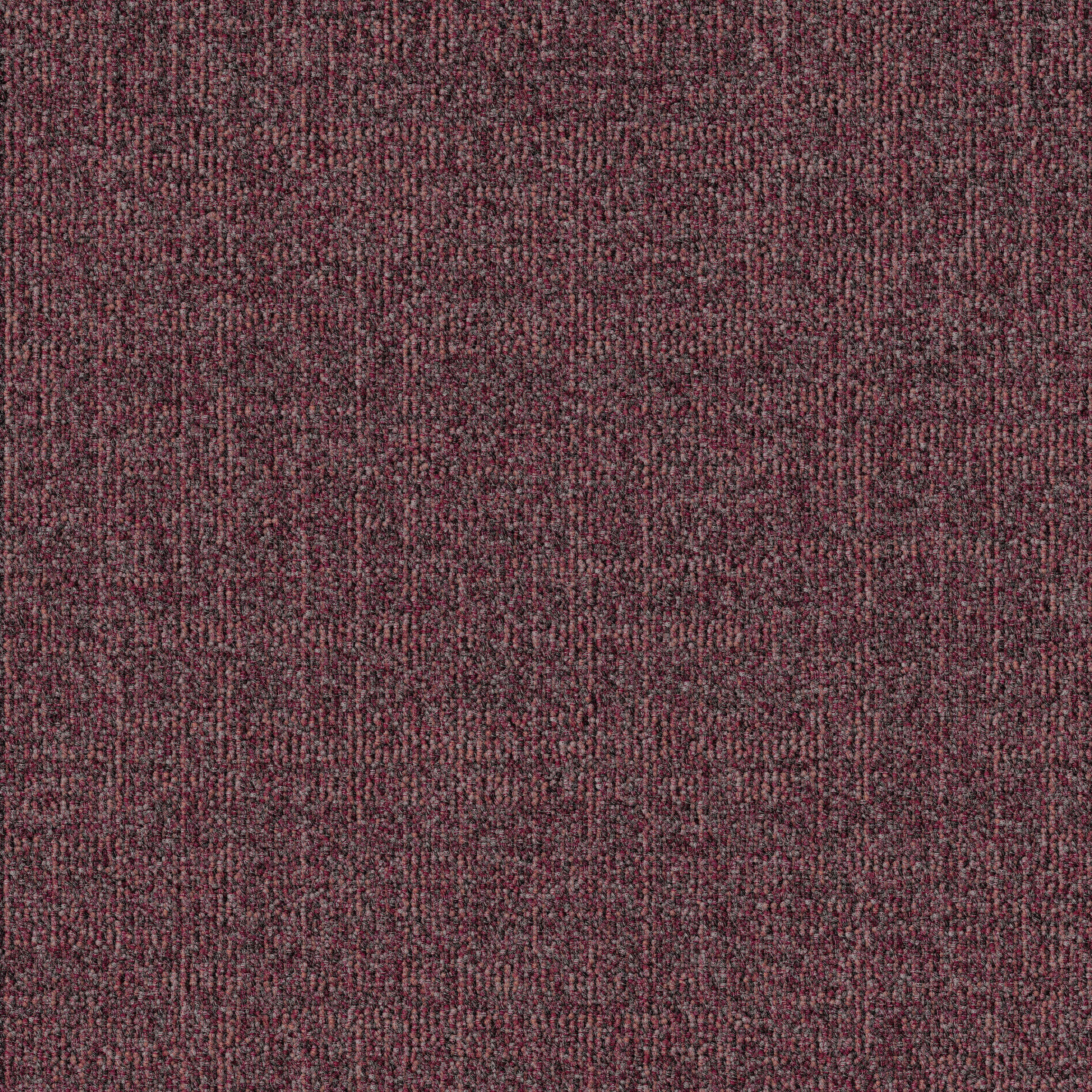 Dune 395