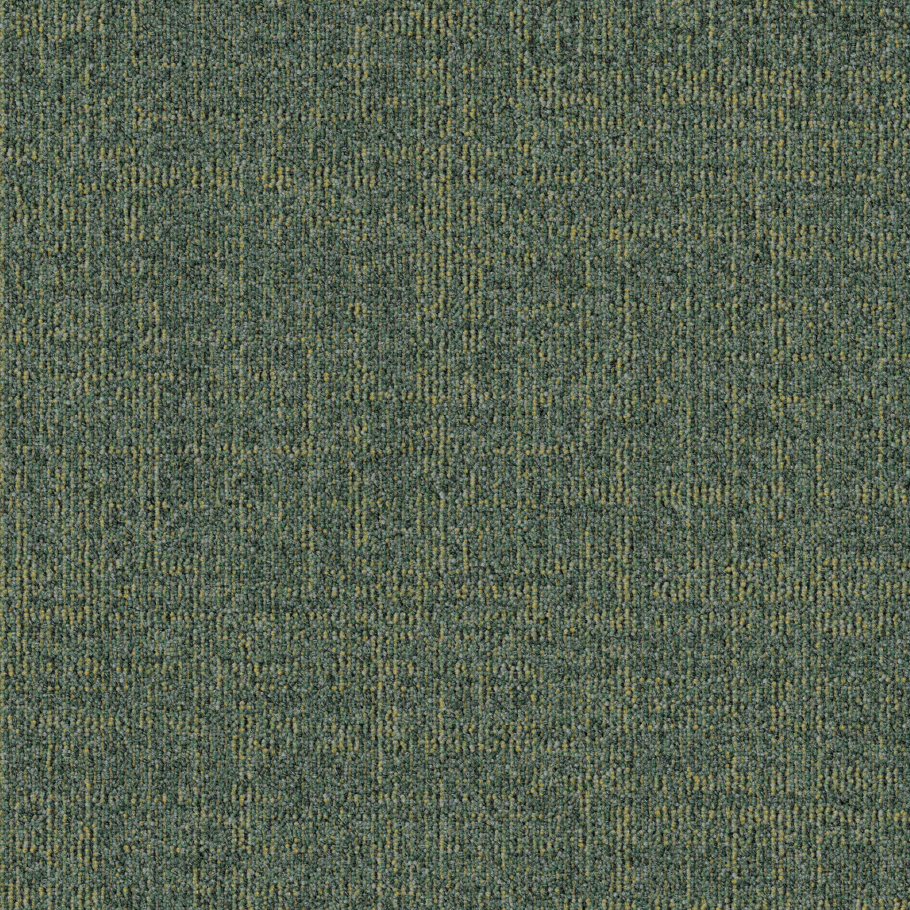 Dune 683
