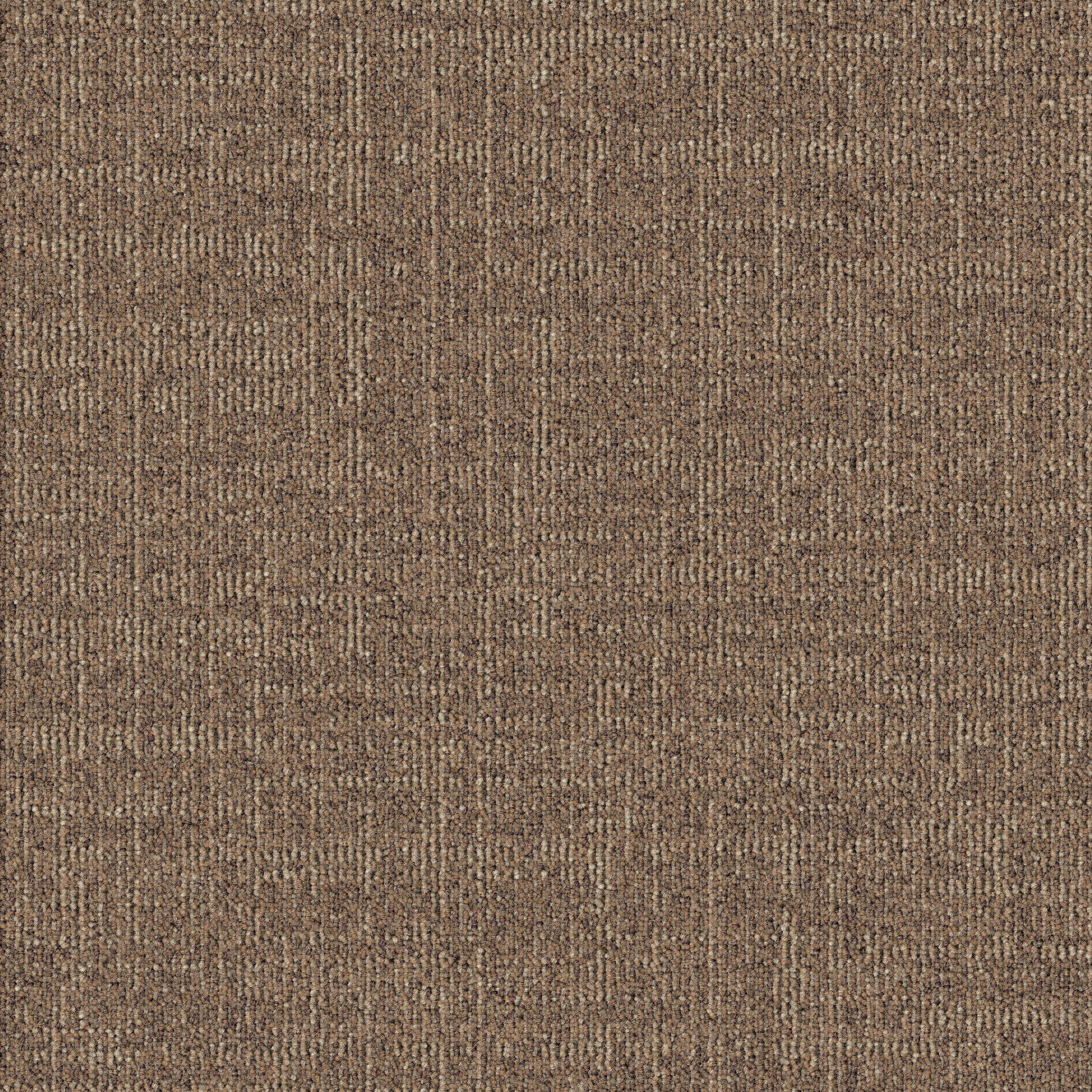 Dune 831