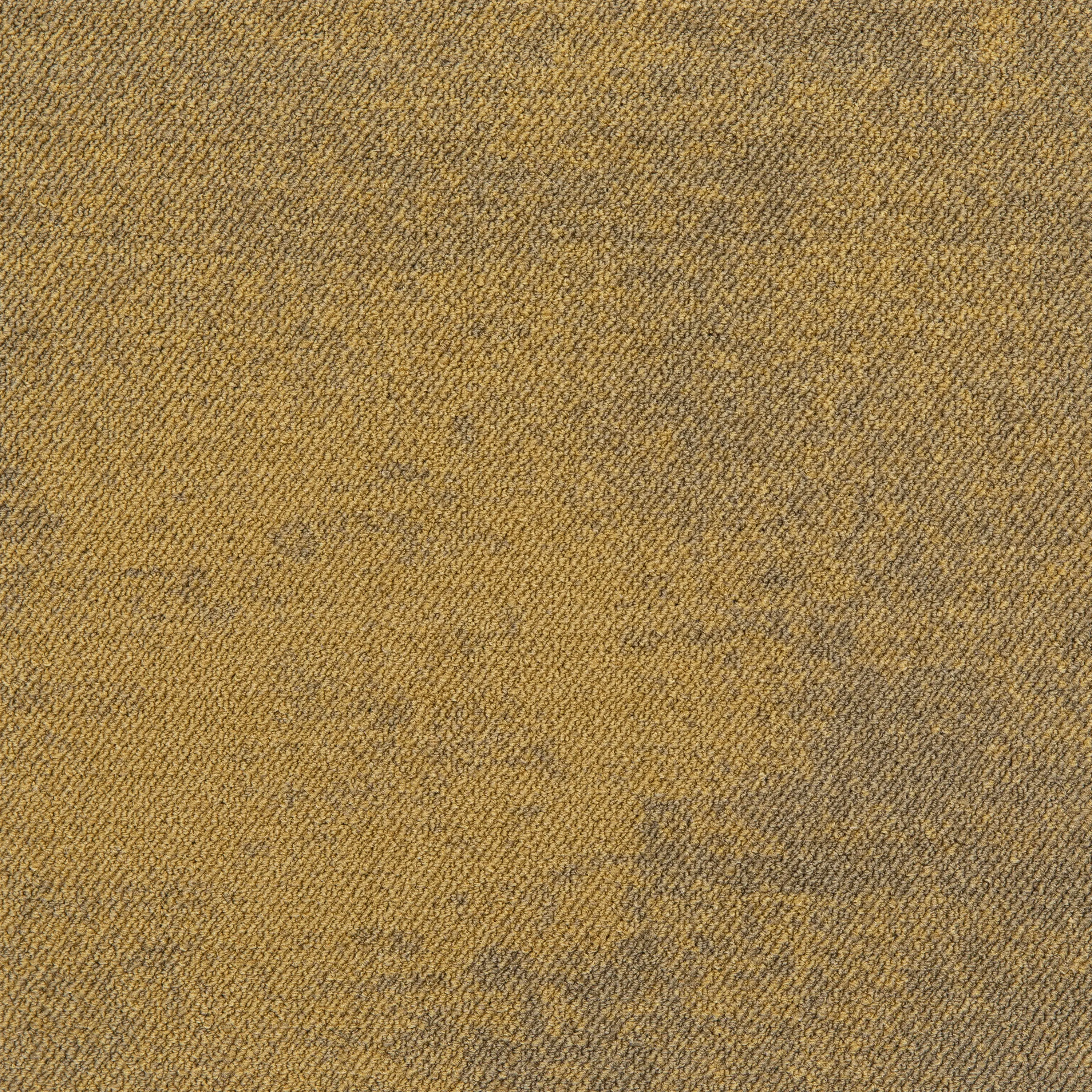 modulyss - Haze LP 224