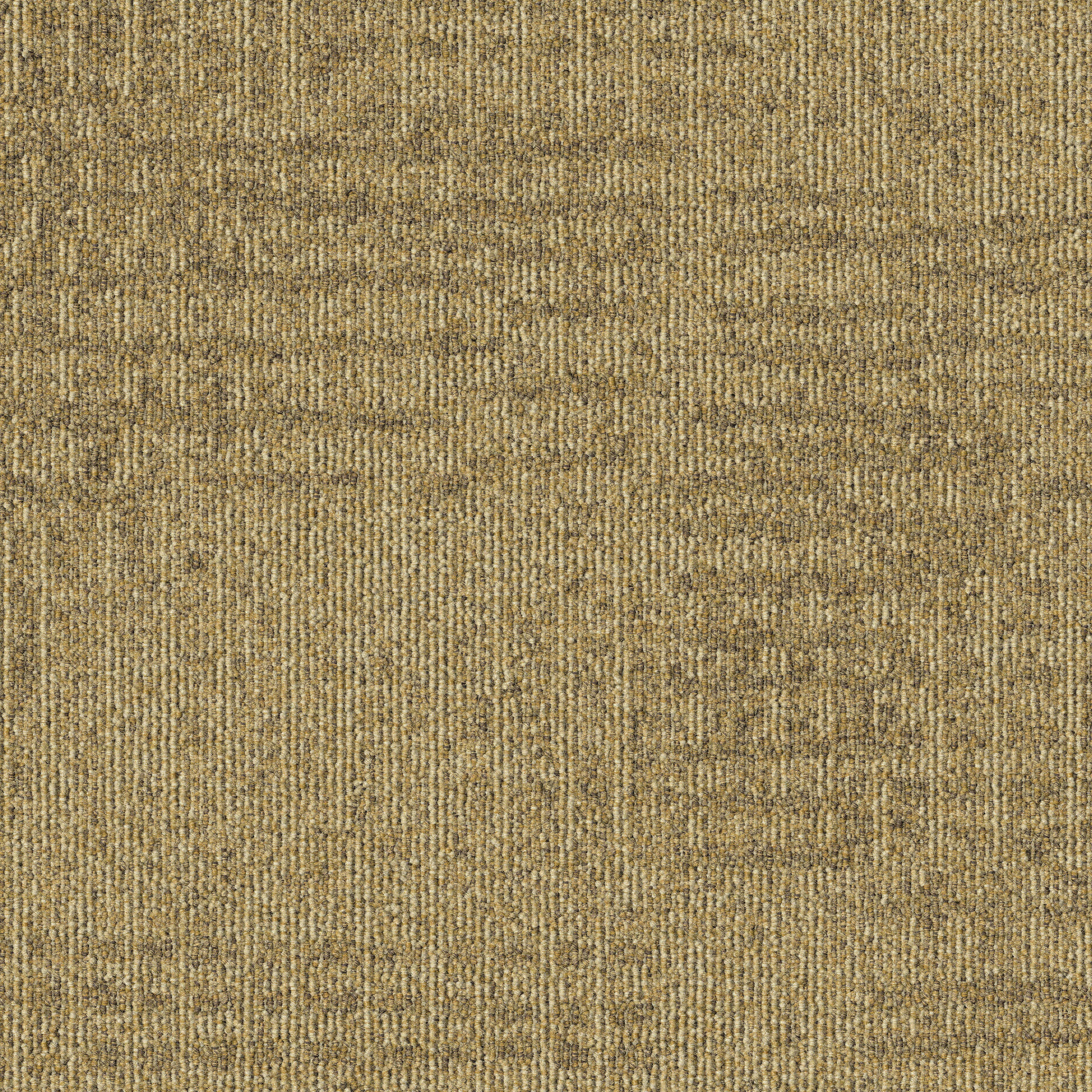 Meadow 216