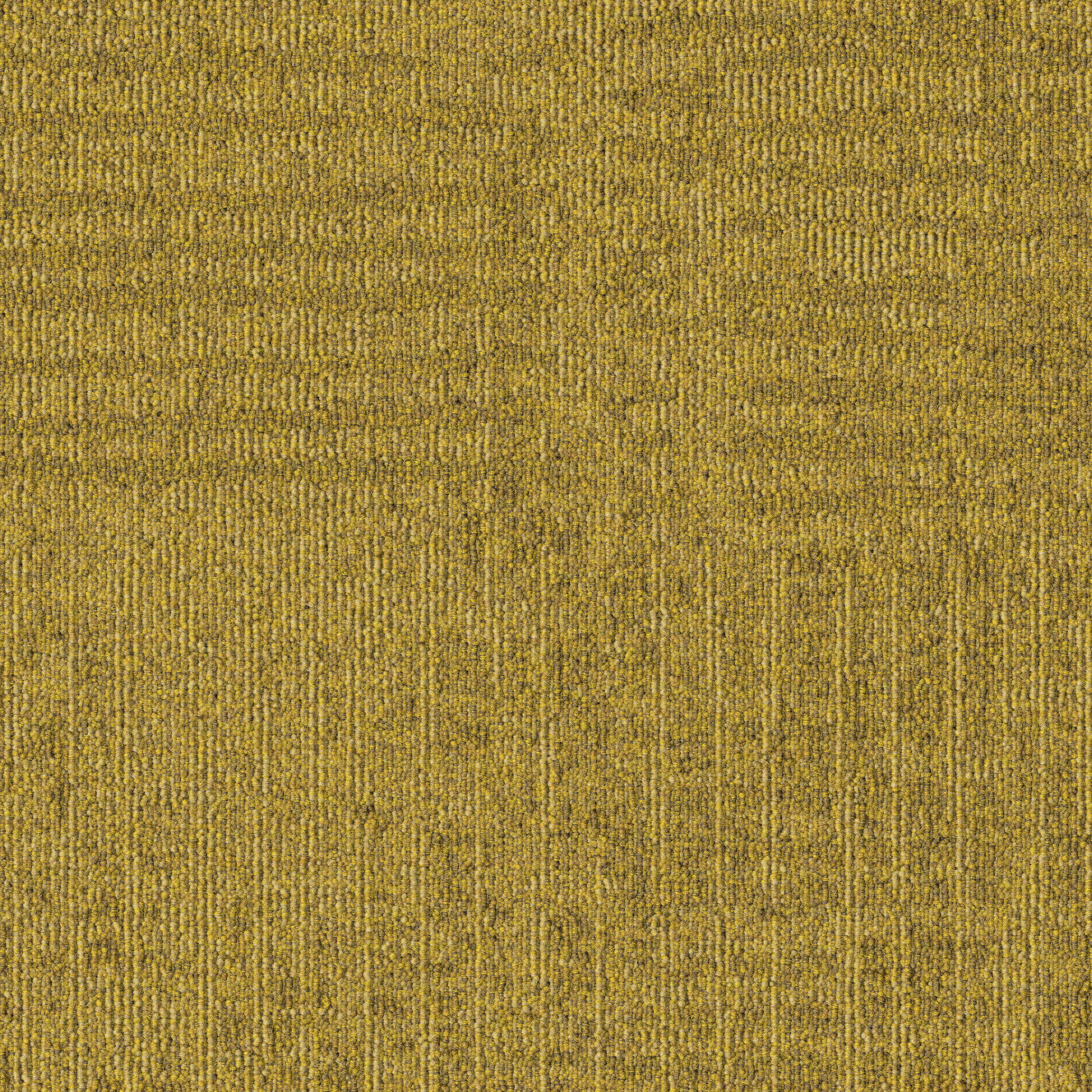 Meadow 224