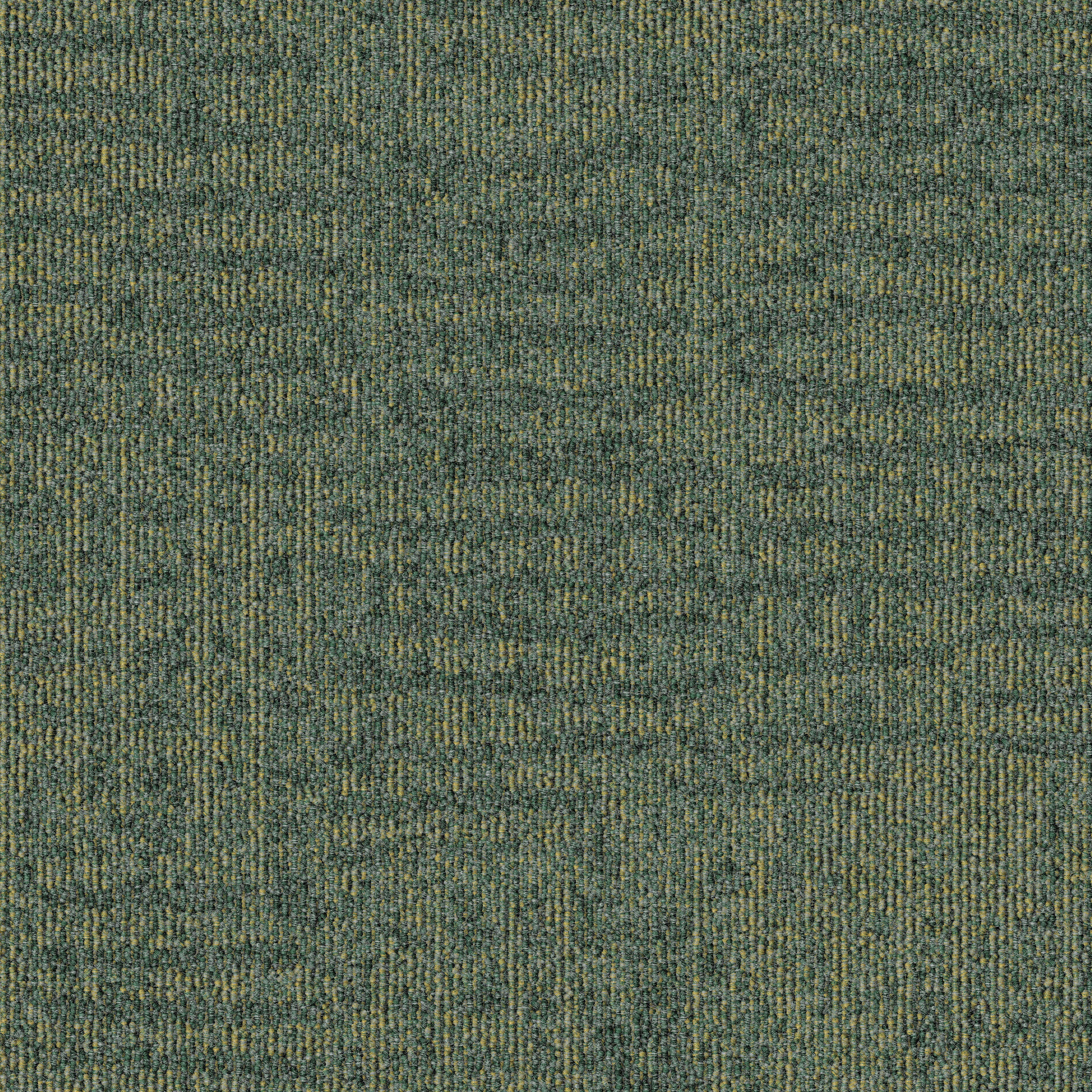 Meadow 683