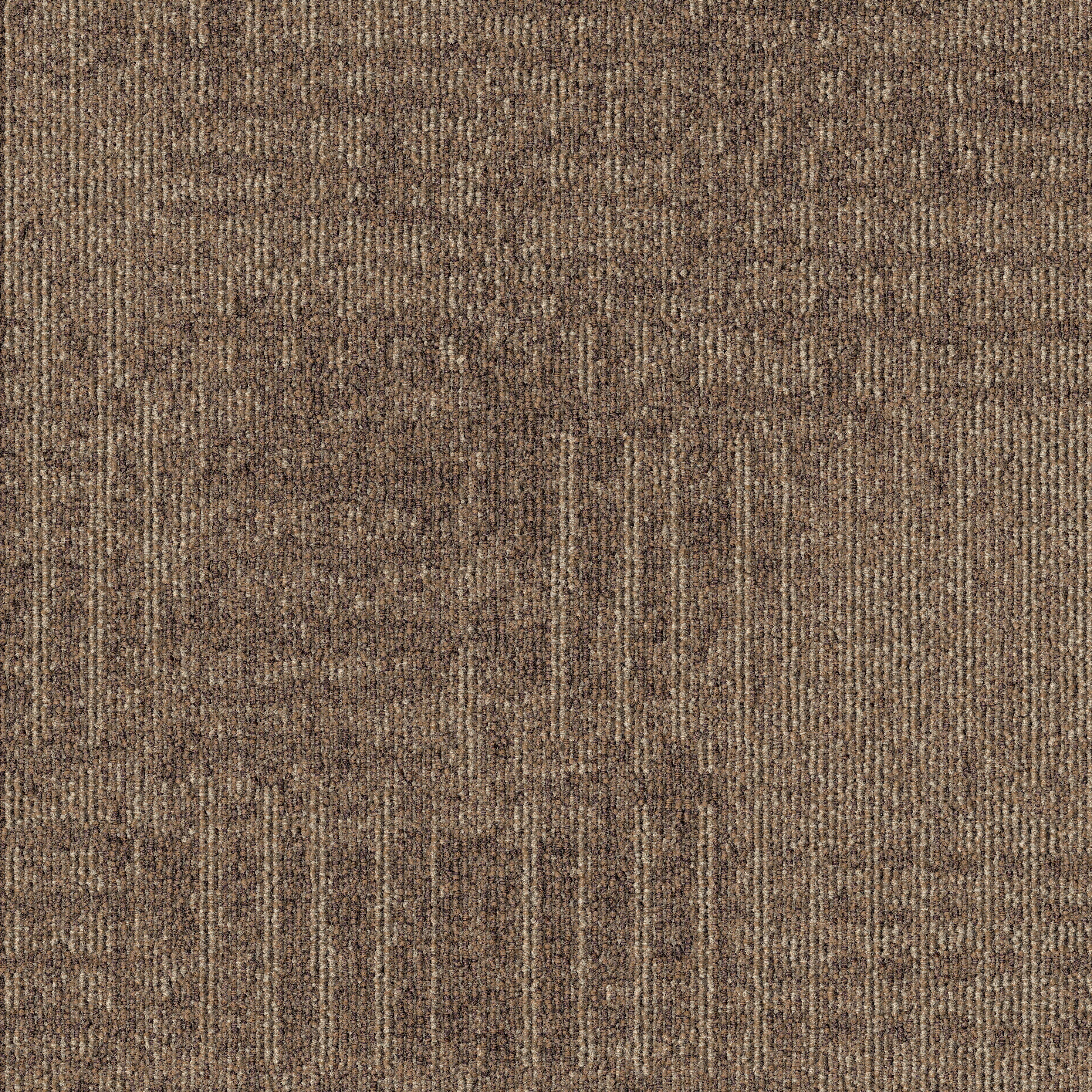Produkt Meadow 831 des Herstellers modulyss anzeigen