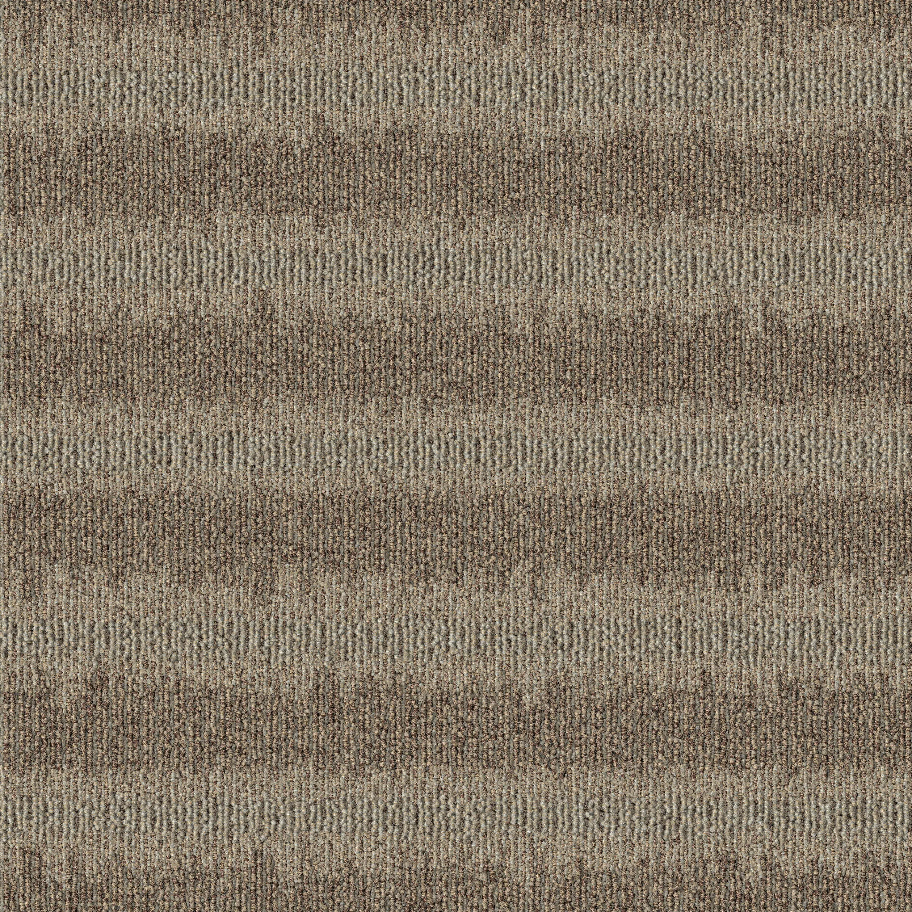 modulyss - Polder 102