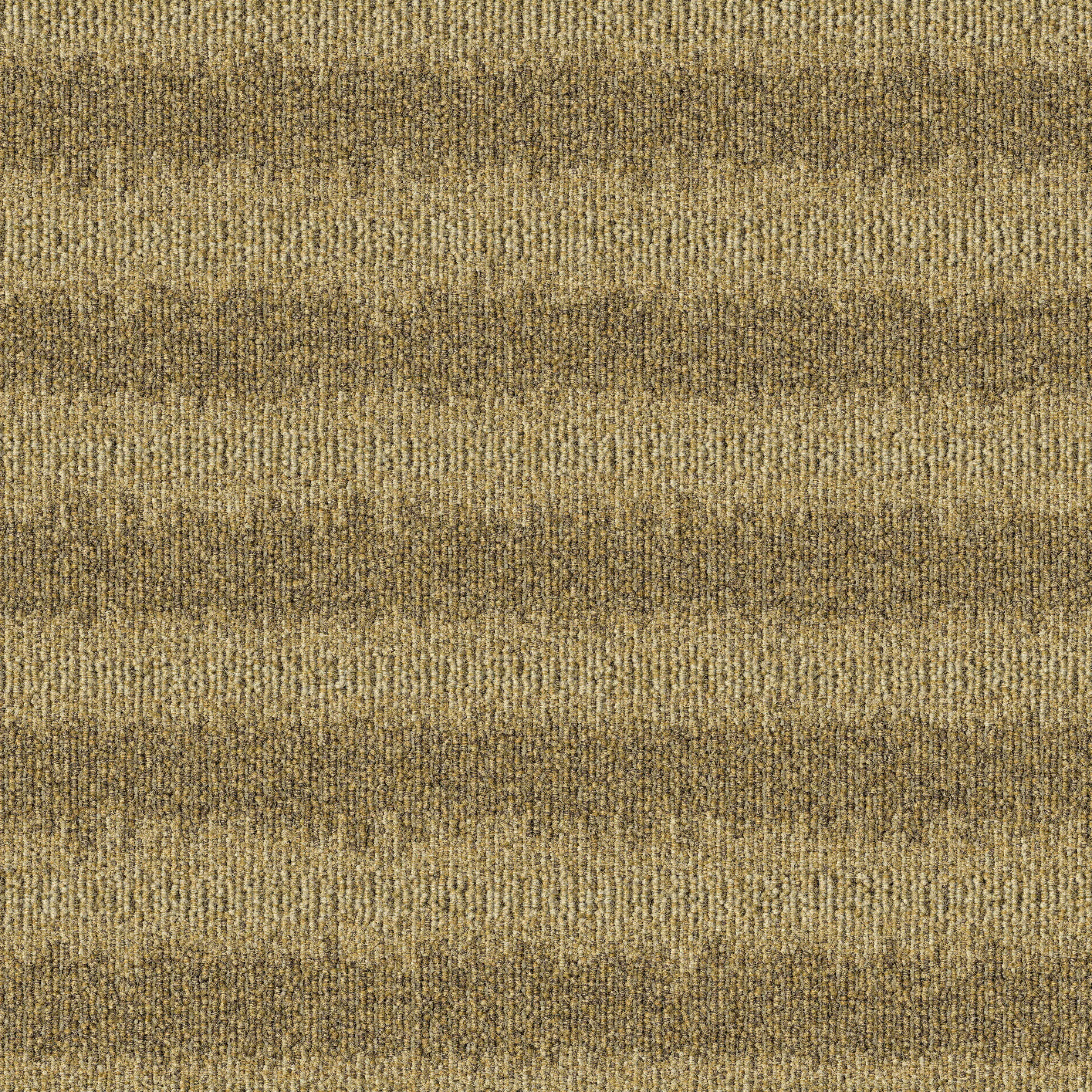 modulyss - Polder 216